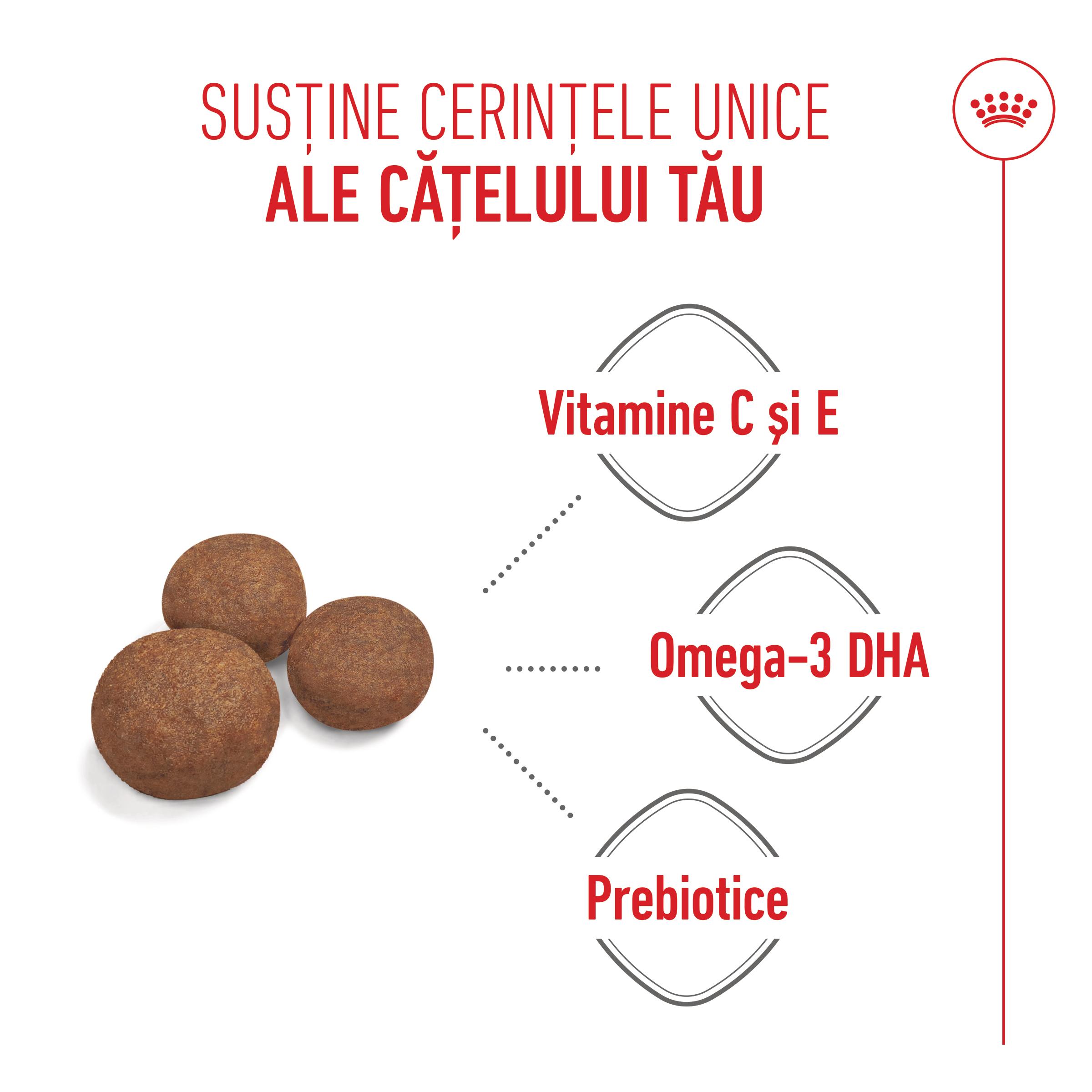 ROYAL CANIN Medium Puppy, hrană uscată câini junior, 1kg
