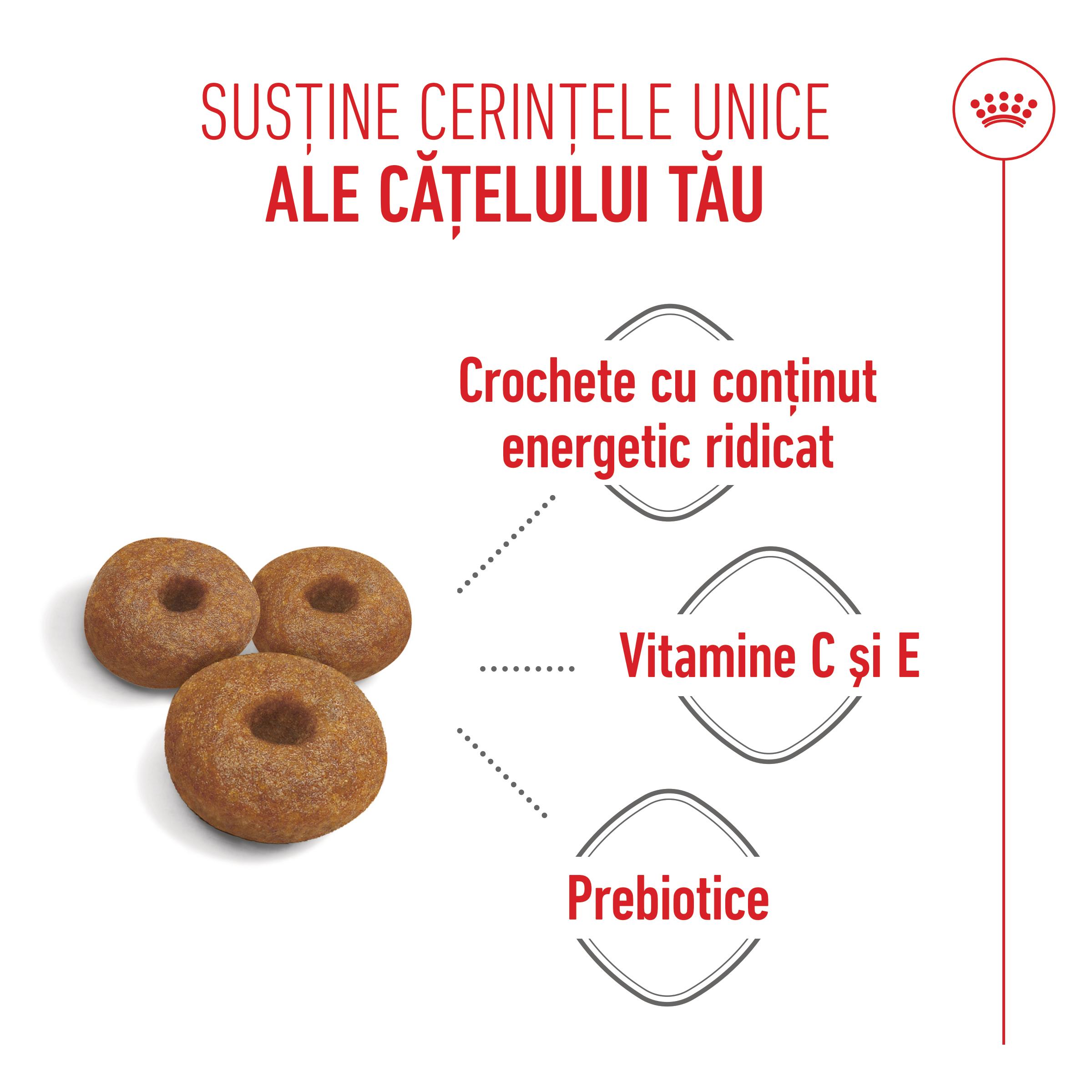ROYAL CANIN Maxi Starter Mother &amp; Babydog, mama și puiul, hrană uscată câini, 15kg