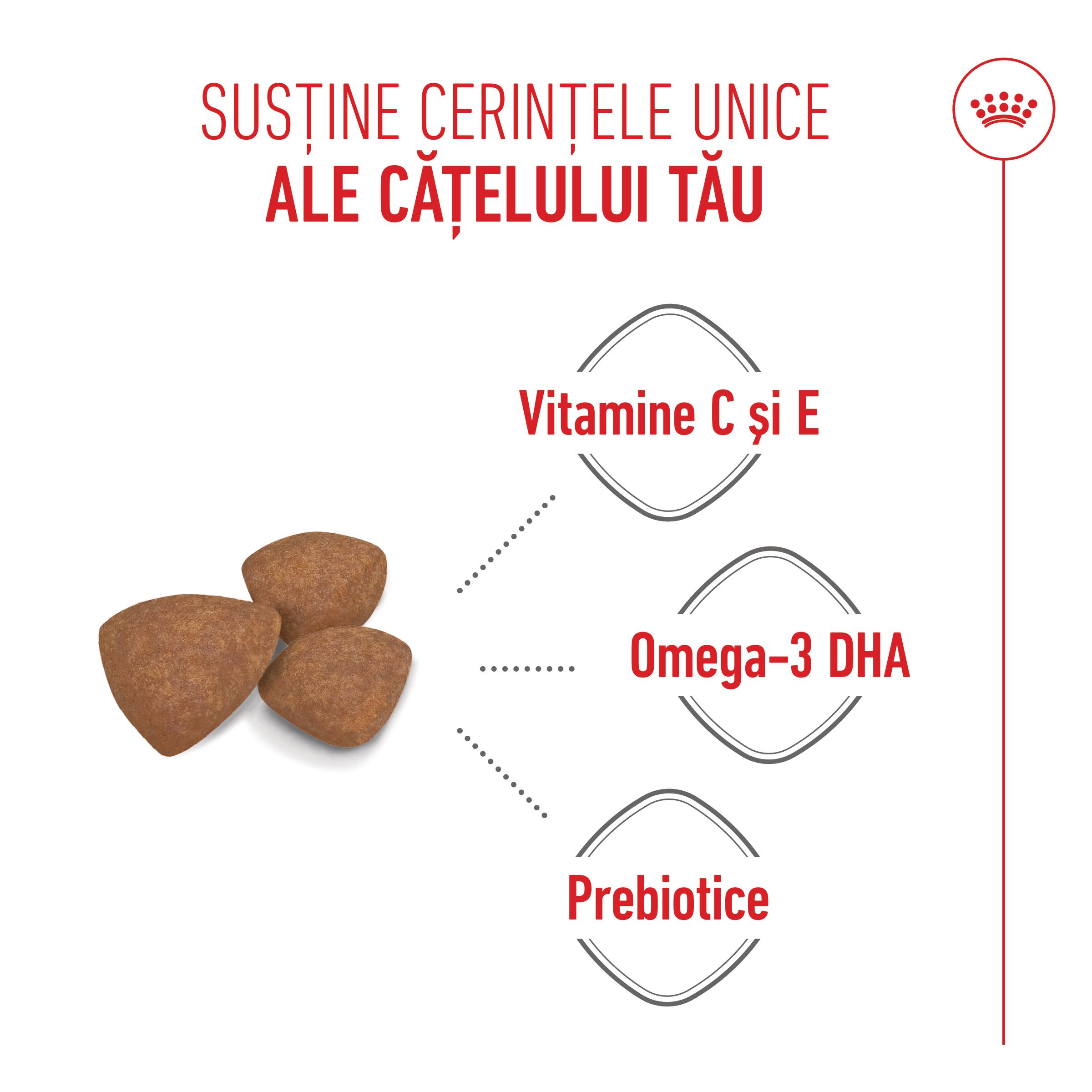 ROYAL CANIN Mini Puppy, hrană uscată câini junior, 2kg