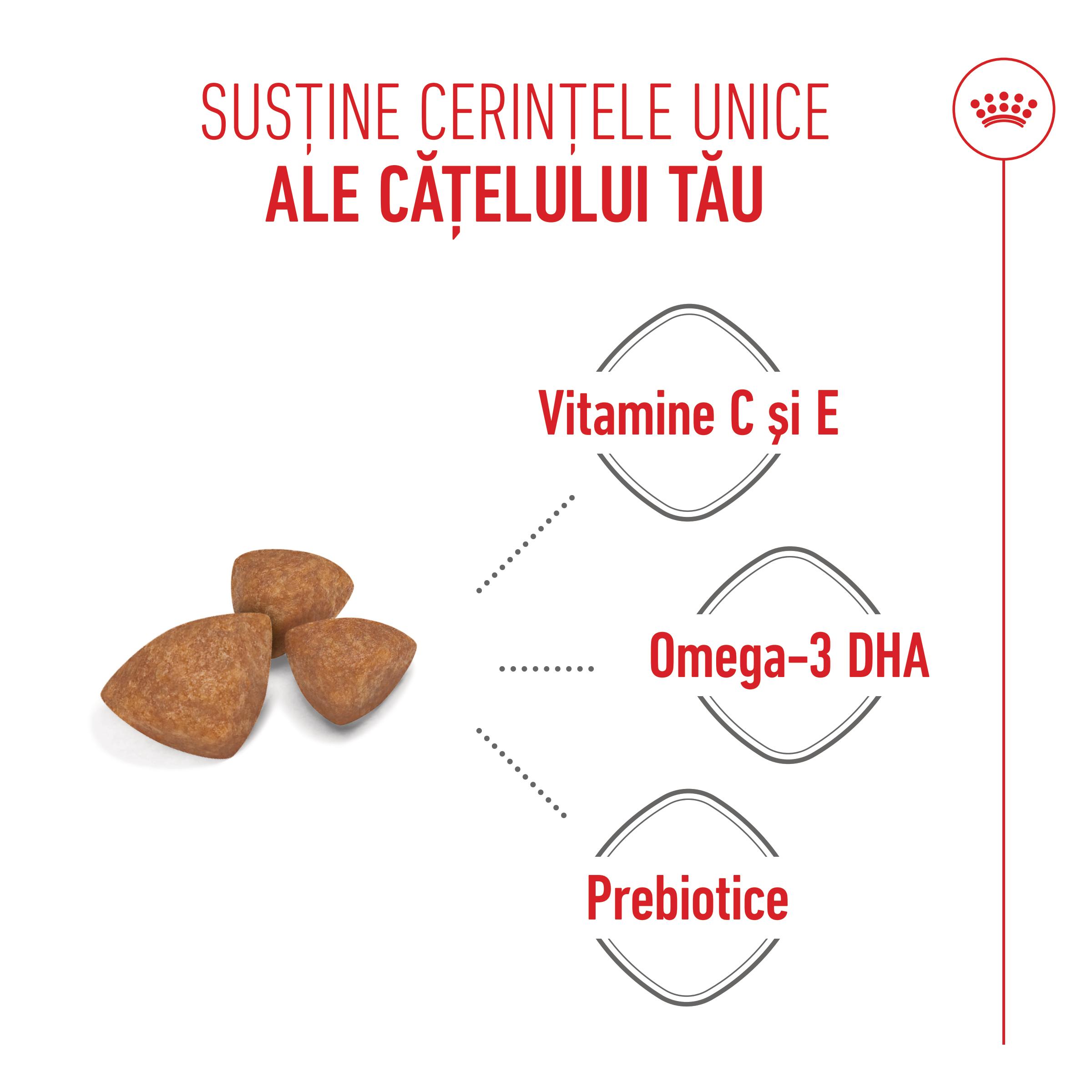 ROYAL CANIN X-Small Puppy, hrană uscată câini junior, 500g