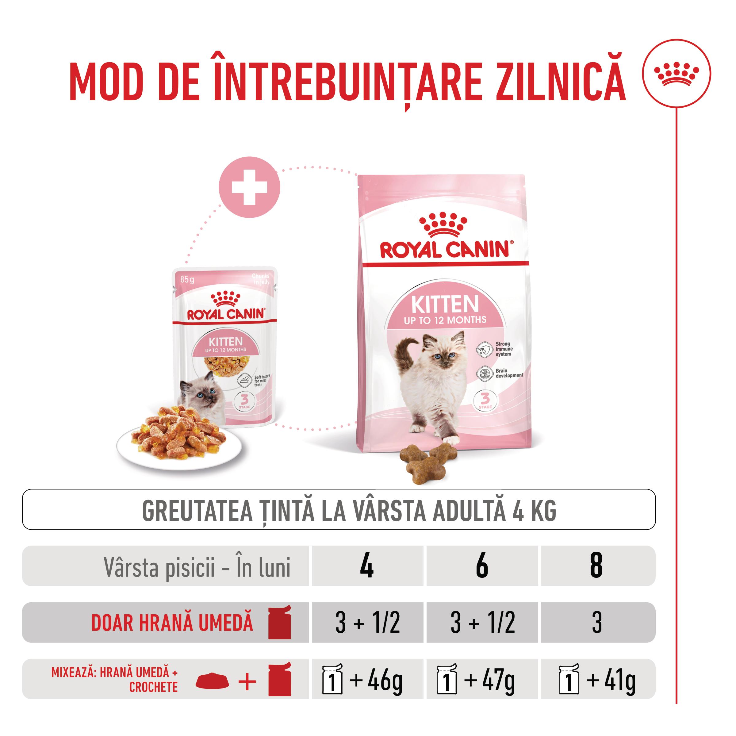 ROYAL CANIN Kitten, hrană umedă pisici, (în aspic), bax, 85g x 12buc