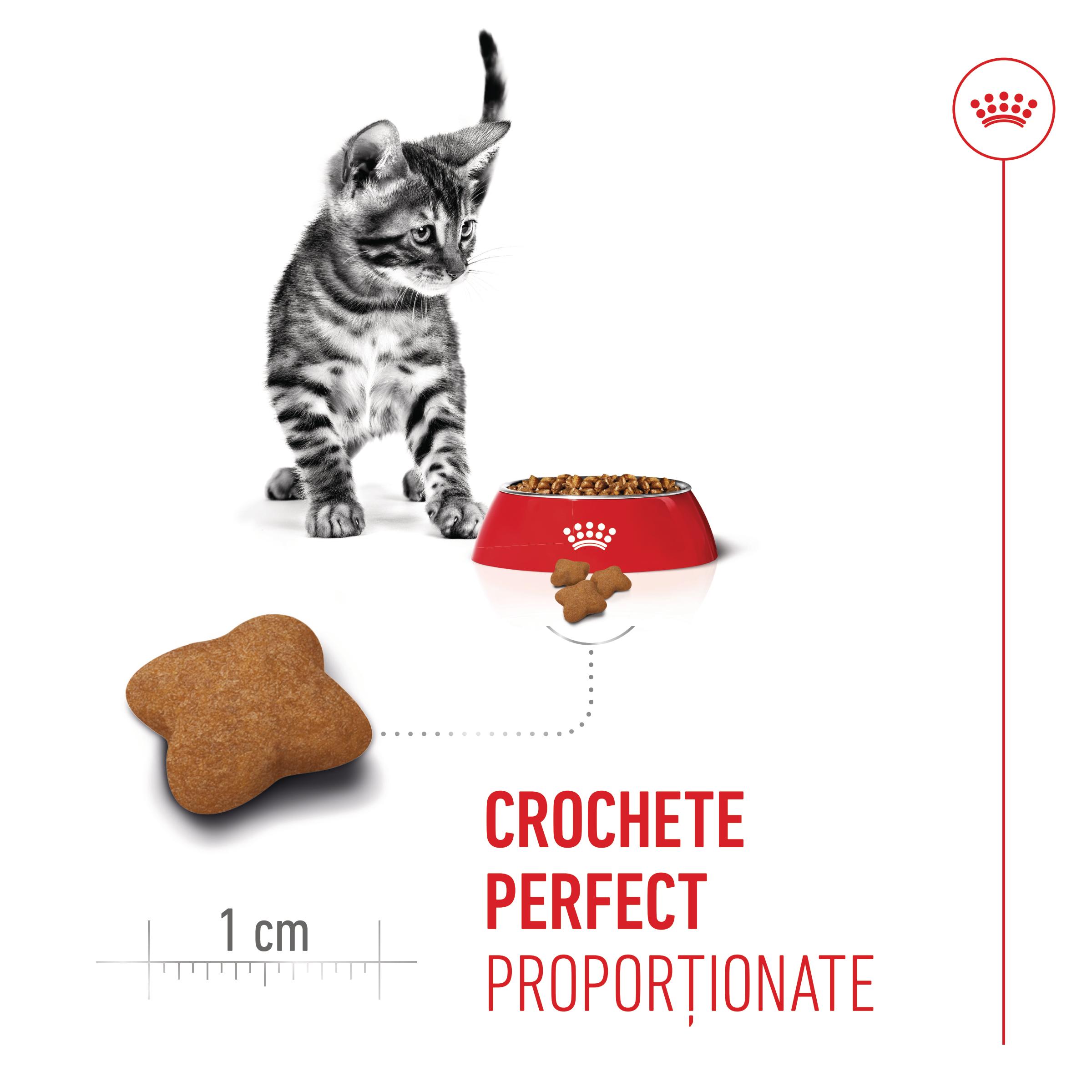 ROYAL CANIN Kitten Sterilised, hrană uscată pisici sterilizate junior, 2kg