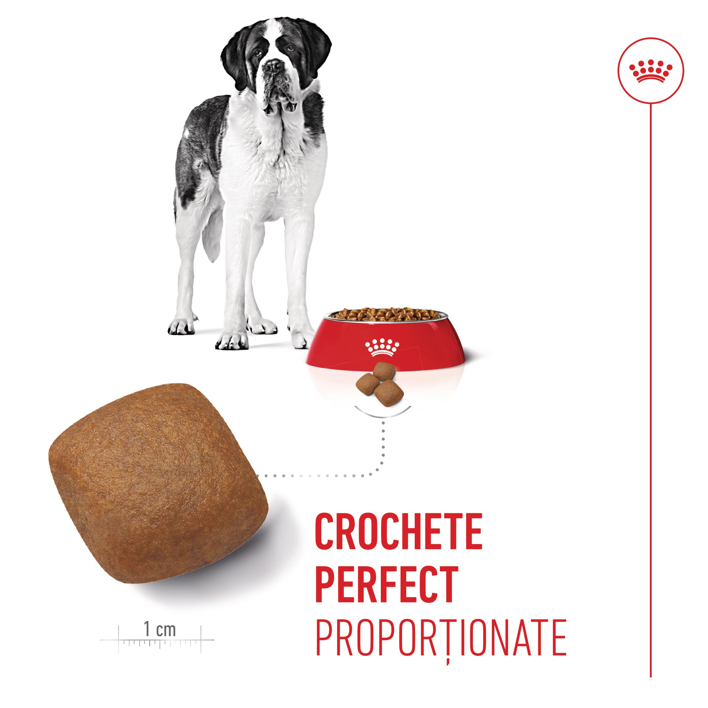 ROYAL CANIN Giant Junior, hrană uscată câini junior, etapa 2 de creștere, 3.5kg
