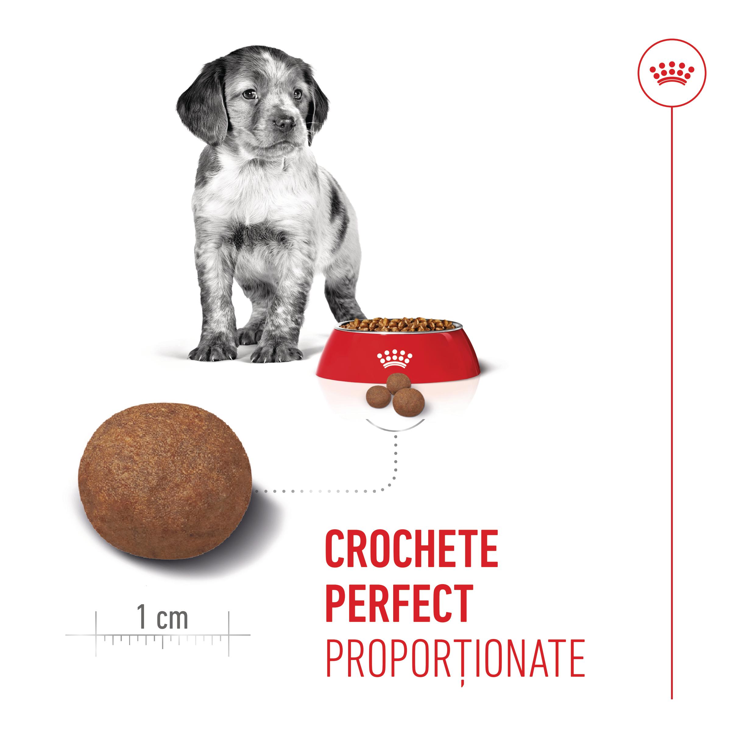 ROYAL CANIN Medium Puppy, hrană uscată câini junior, 1kg