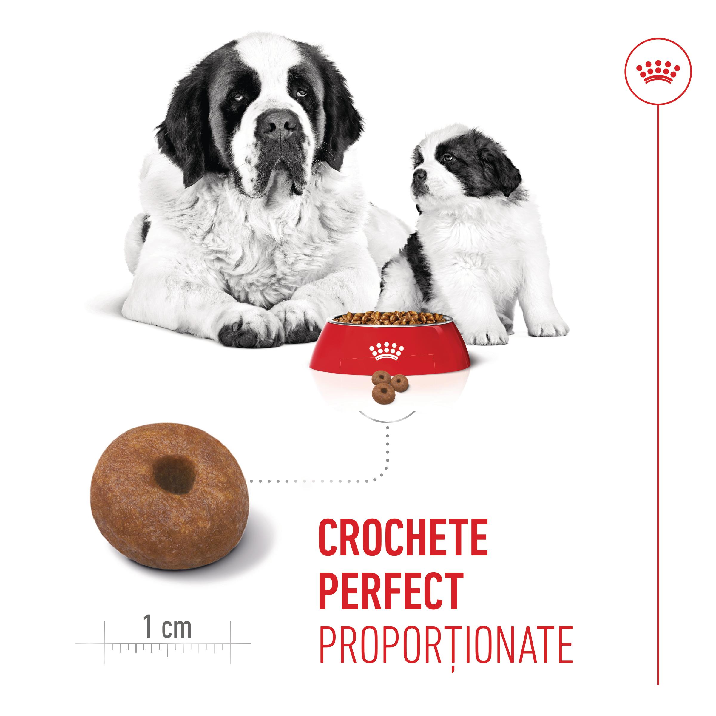 ROYAL CANIN Giant Starter Mother &amp; Babydog, mama și puiul, hrană uscată câini, 15kg