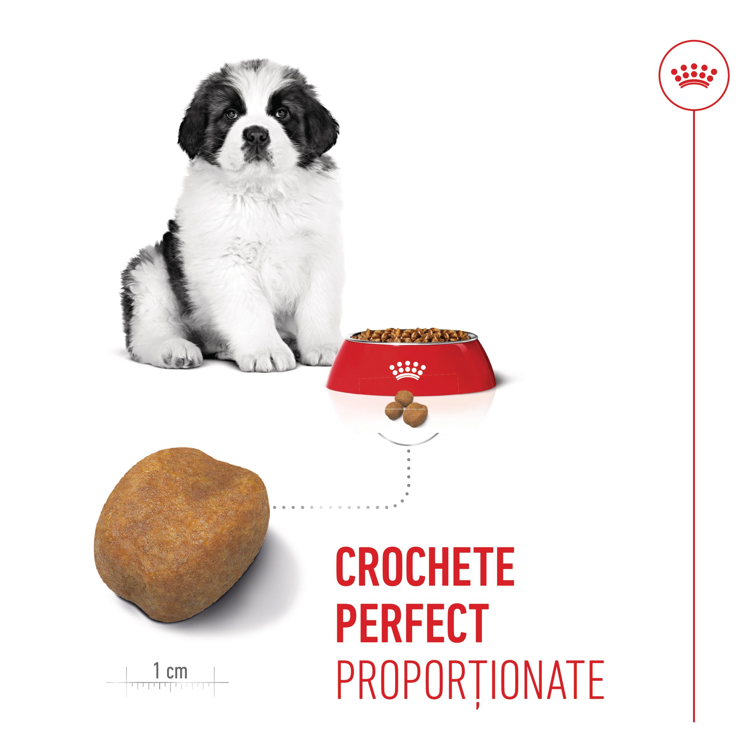 ROYAL CANIN Giant Puppy, hrană uscată câini junior, etapa 1 de creștere, 1kg