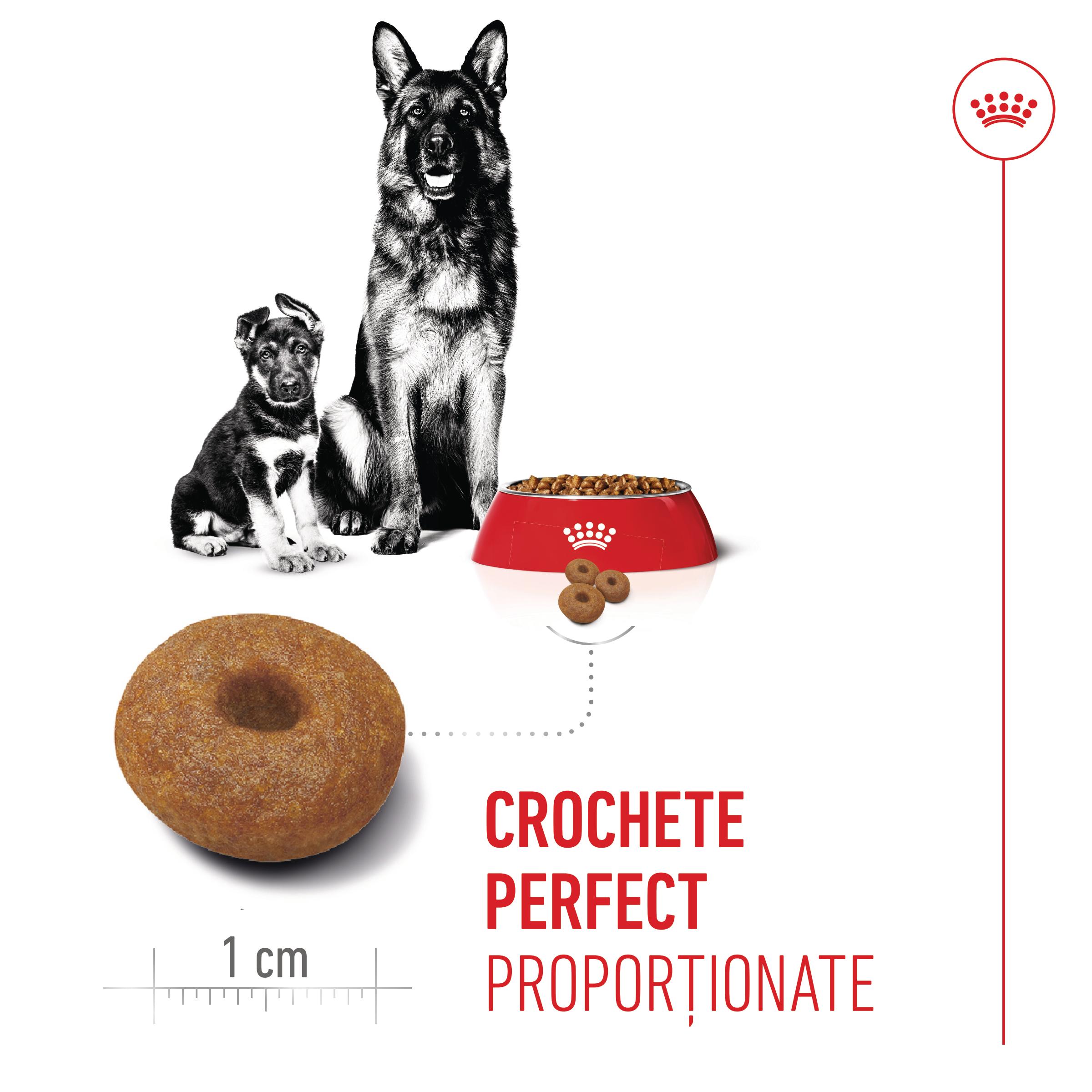 ROYAL CANIN Maxi Starter Mother &amp; Babydog, mama și puiul, hrană uscată câini, 15kg