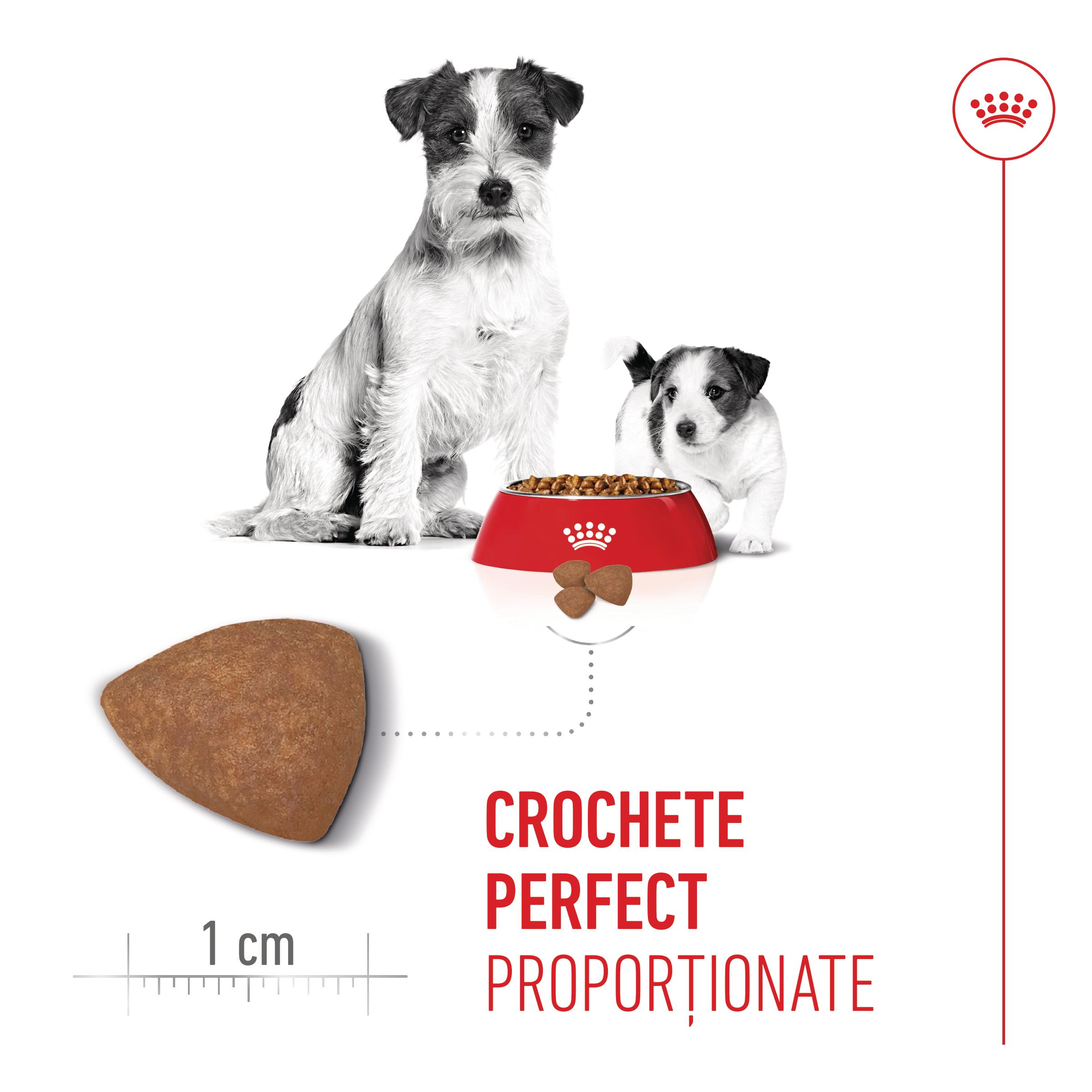 ROYAL CANIN Mini Starter Mother &amp; Babydog, mama și puiul, hrană uscată câini, 1kg