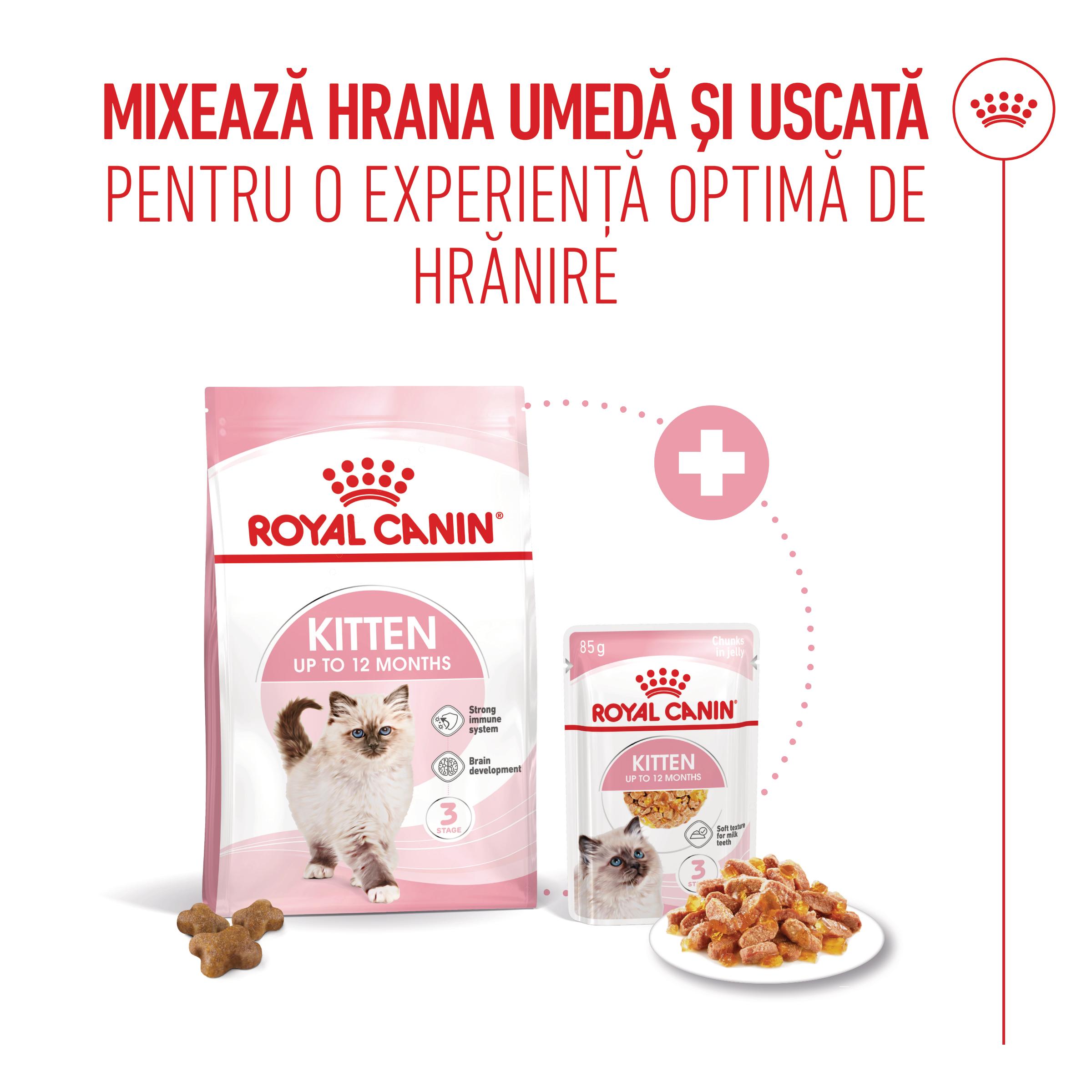 ROYAL CANIN Kitten, hrană umedă pisici, (în aspic), bax, 85g x 12buc