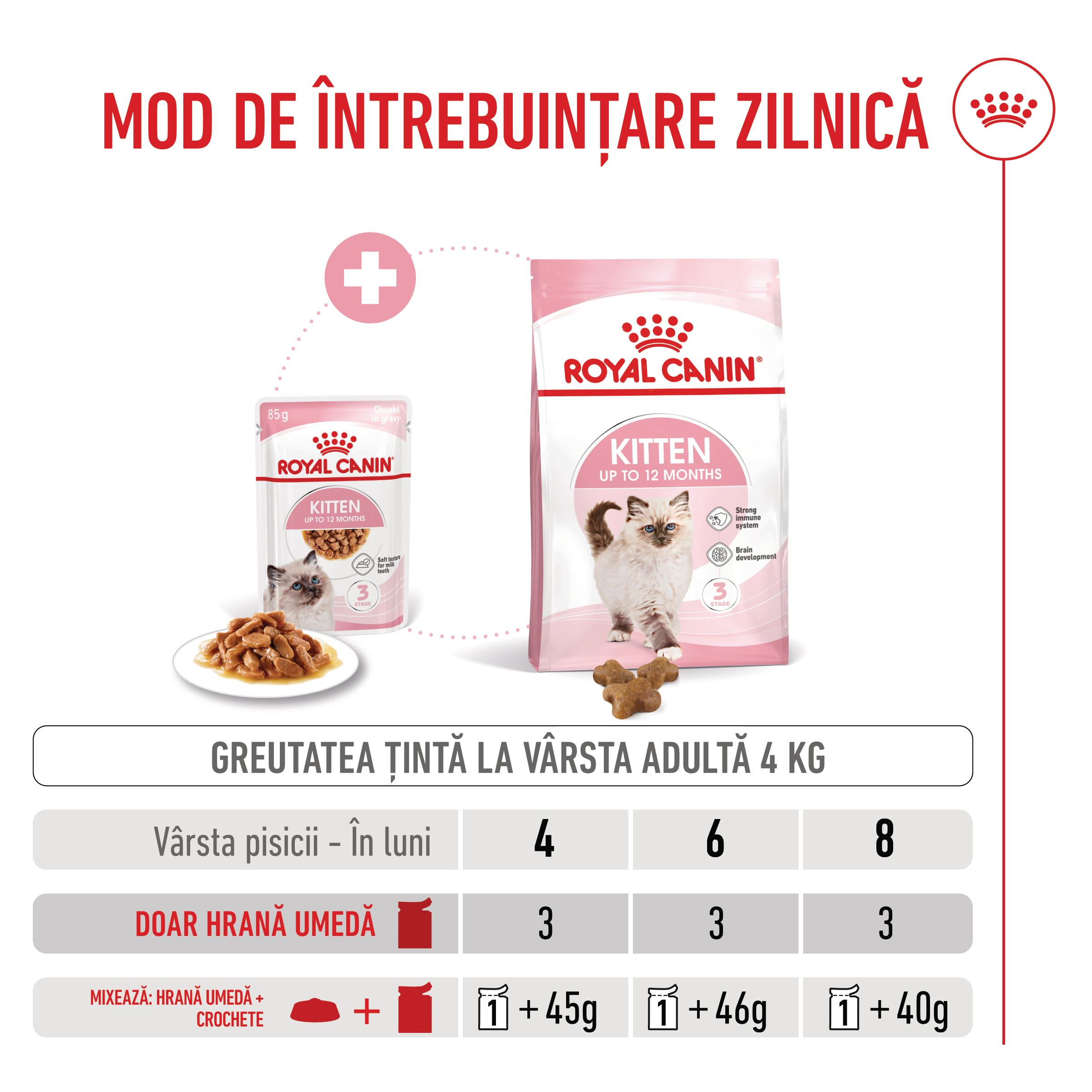 ROYAL CANIN Kitten, hrană umedă pisici junior, (în sos), 85g