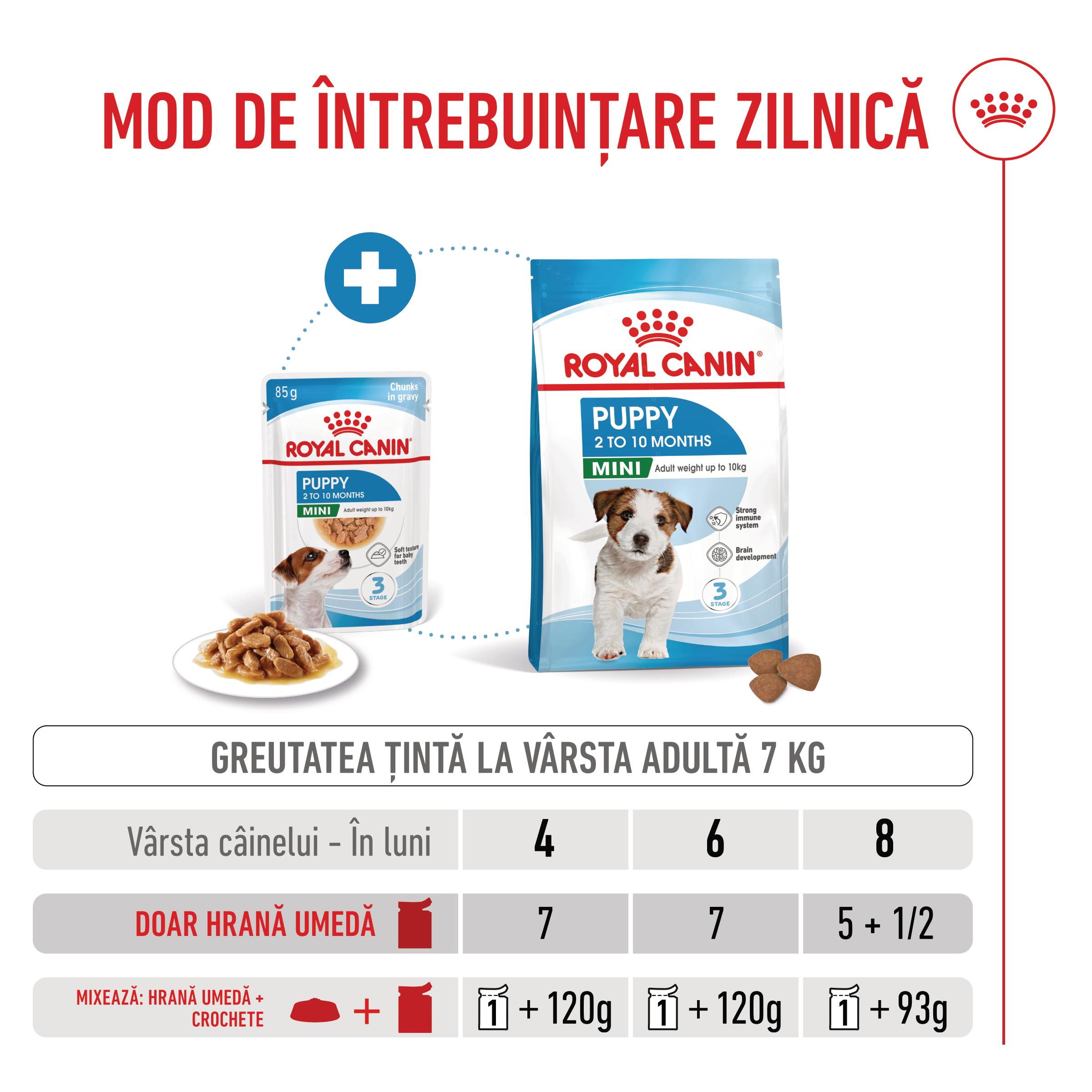 ROYAL CANIN Mini Puppy, hrană umedă câini junior, (în sos), 85g