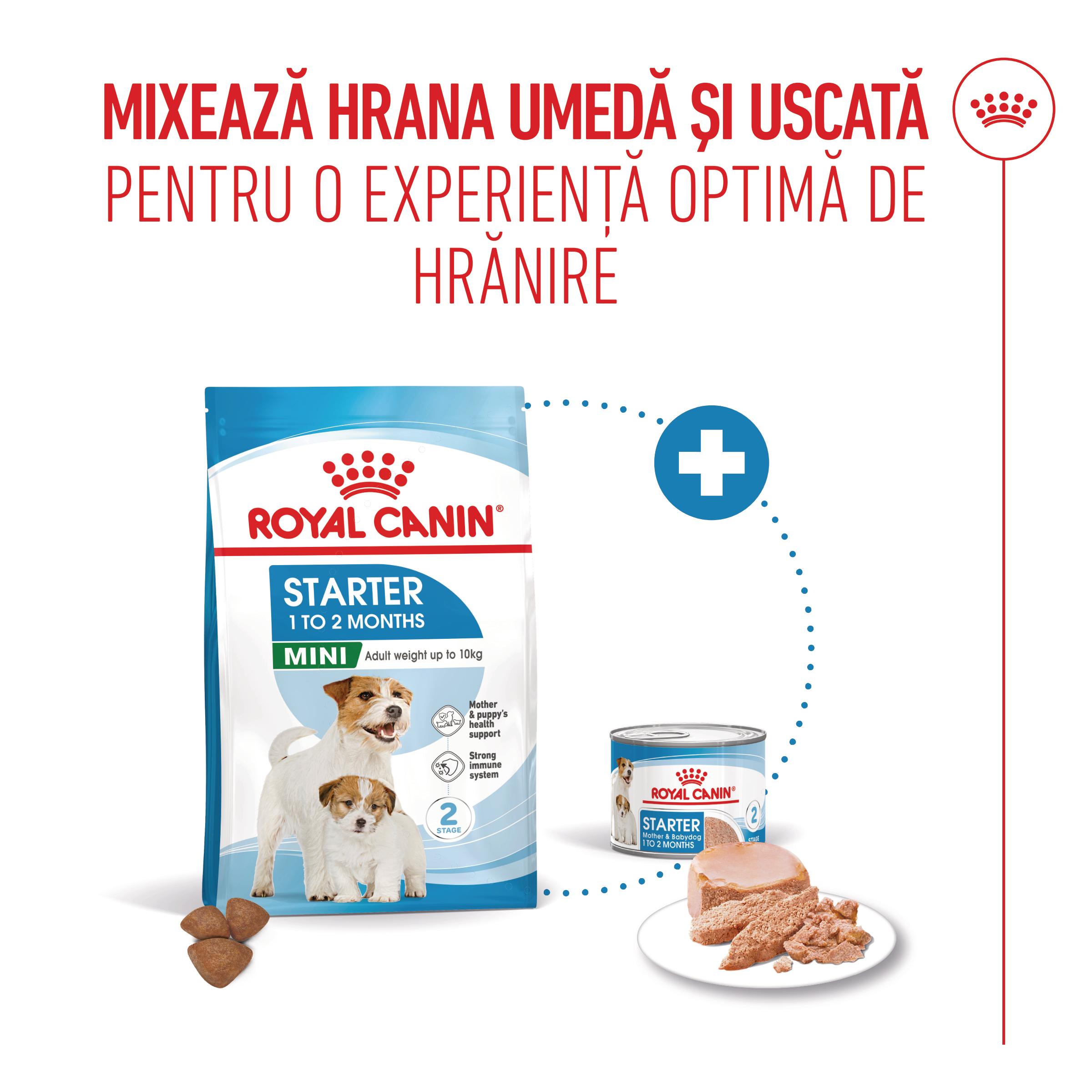 ROYAL CANIN Starter Mousse, mama și puiul, conservă hrană umedă câini, (mousse), 195g
