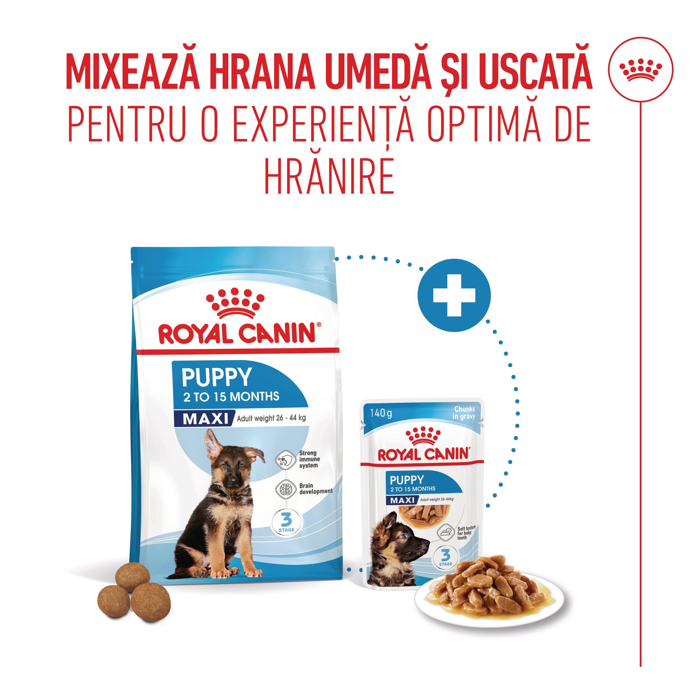 ROYAL CANIN Maxi Puppy, hrană umedă câini junior, (în sos), bax, 140g x 10buc