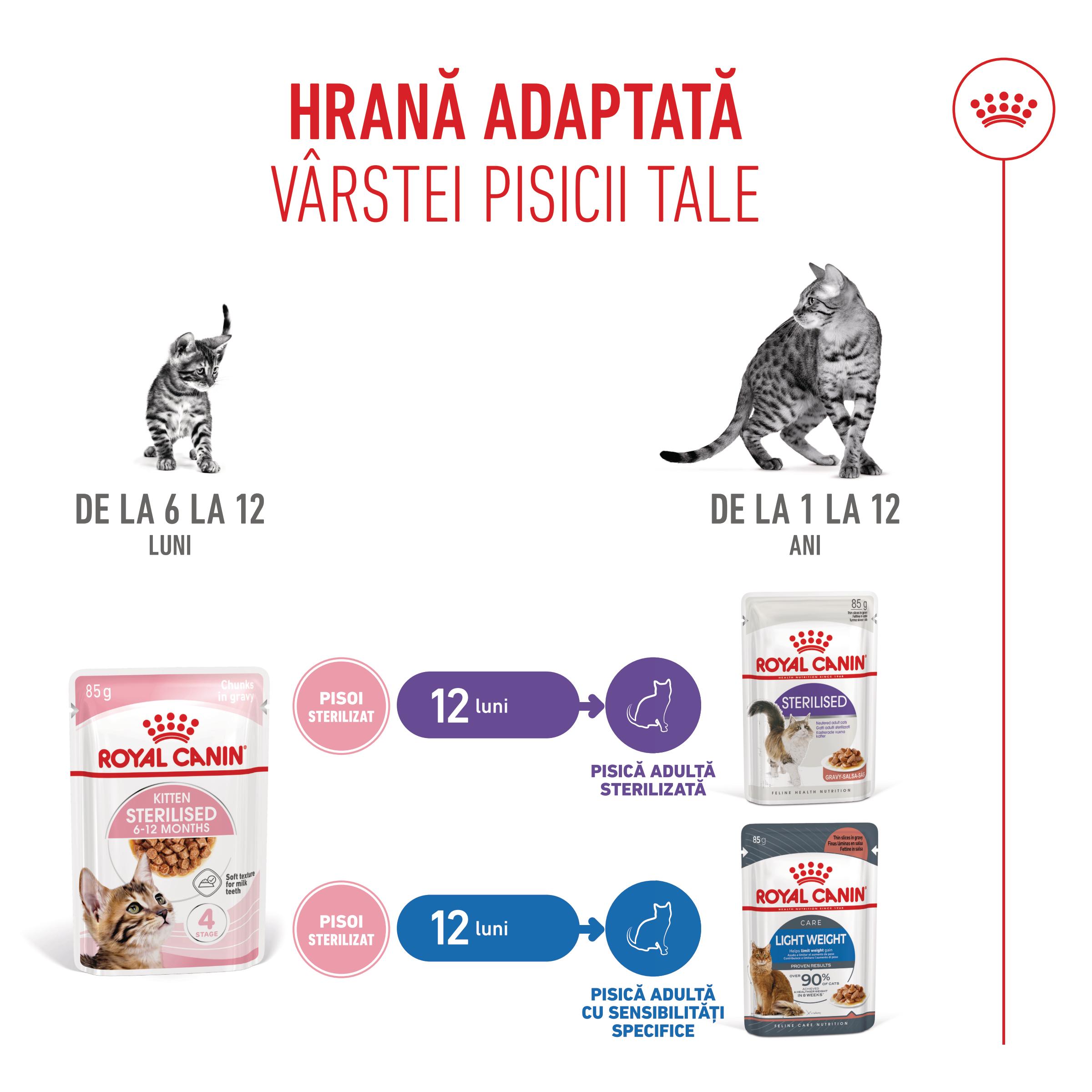 ROYAL CANIN Kitten Sterilised hrană umedă pisici sterilizate junior (în sos), bax, 85g x 12buc