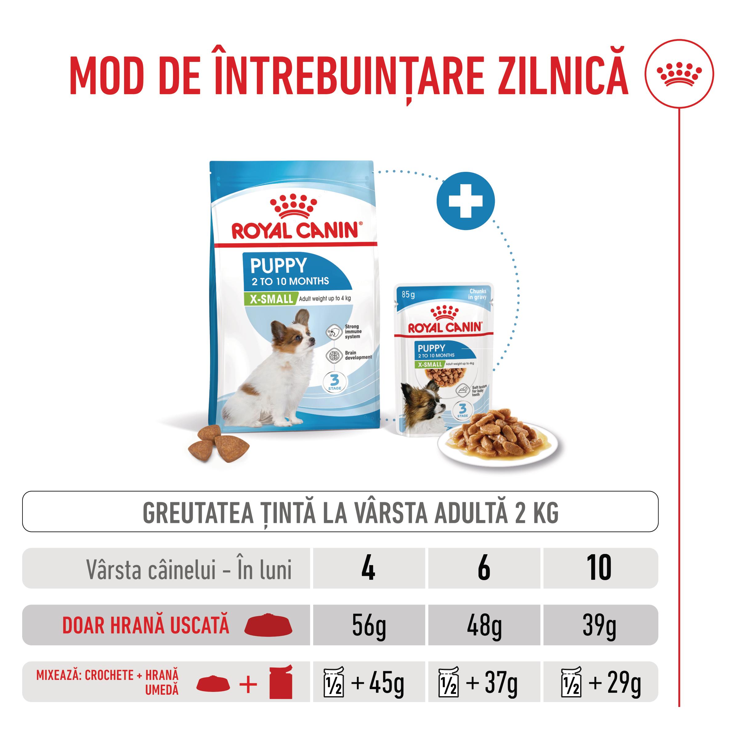 ROYAL CANIN X-Small Puppy, hrană uscată câini junior, 500g