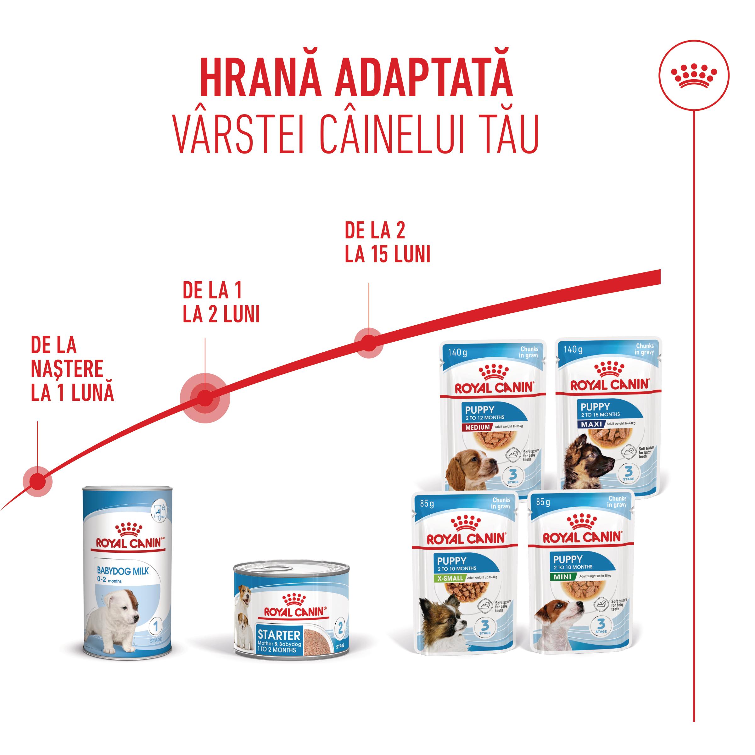 ROYAL CANIN Starter Mousse, mama și puiul, conservă hrană umedă câini, (mousse), 195g
