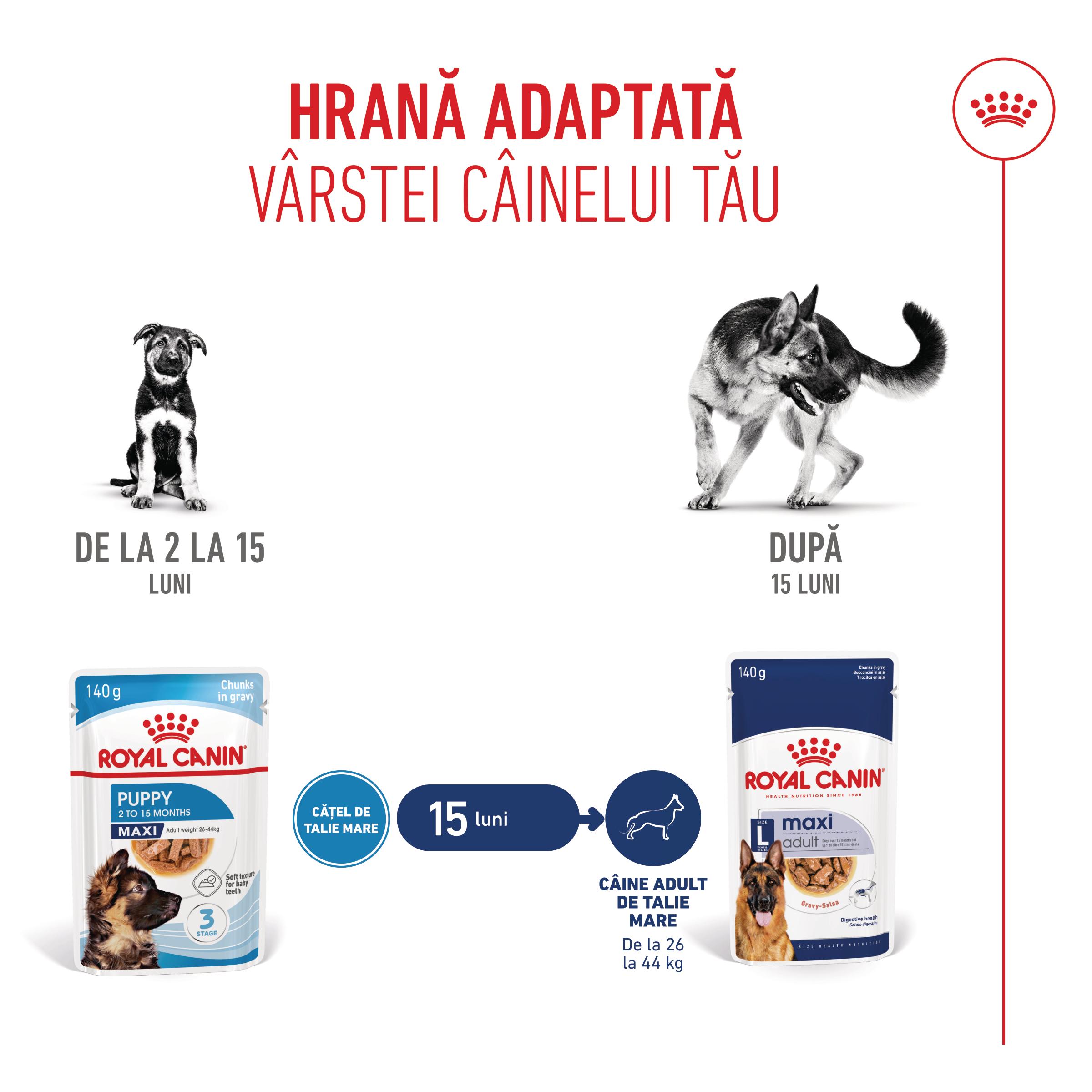 ROYAL CANIN Maxi Puppy, hrană umedă câini junior, (în sos), bax, 140g x 10buc