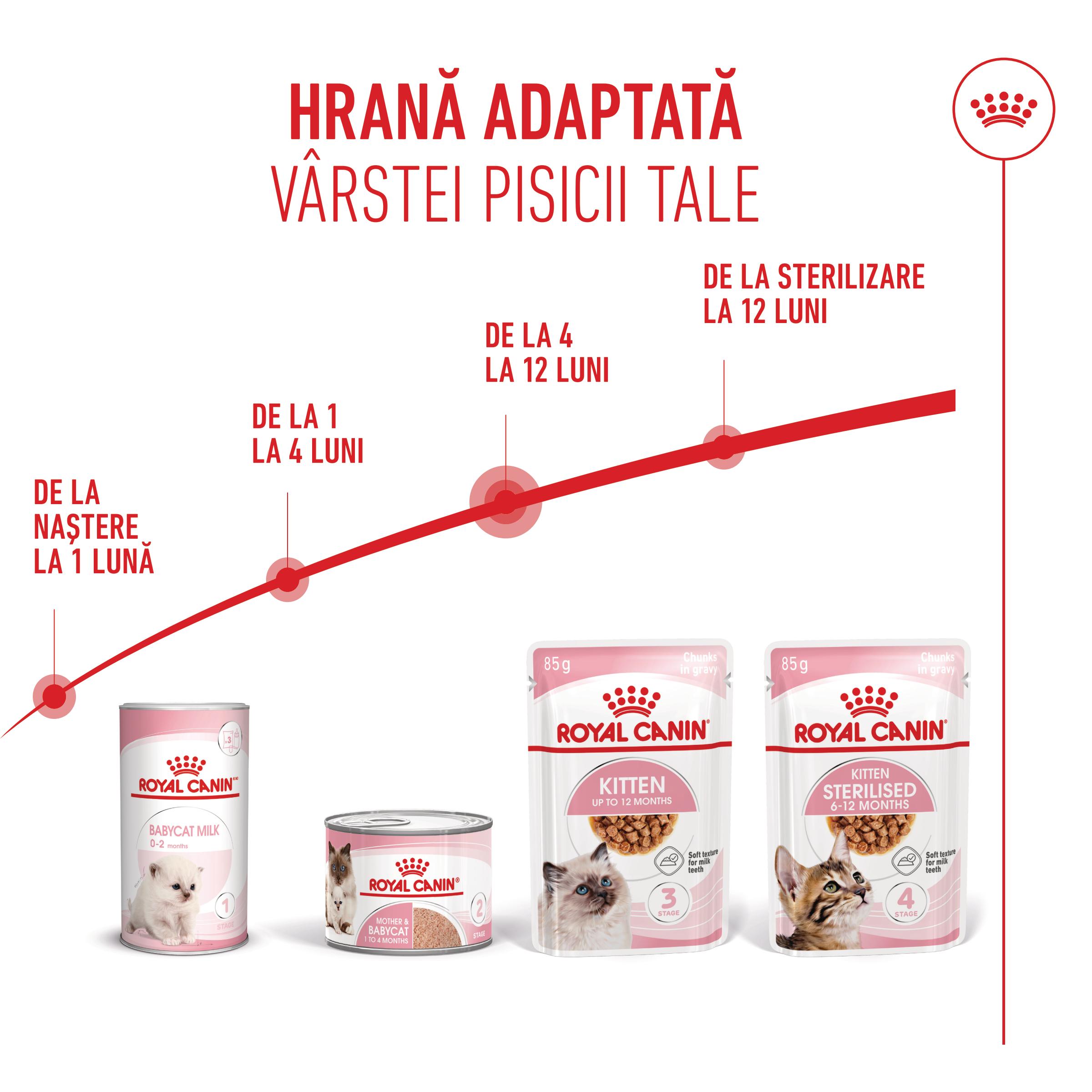 ROYAL CANIN Kitten, hrană umedă pisici junior, (în sos), 85g