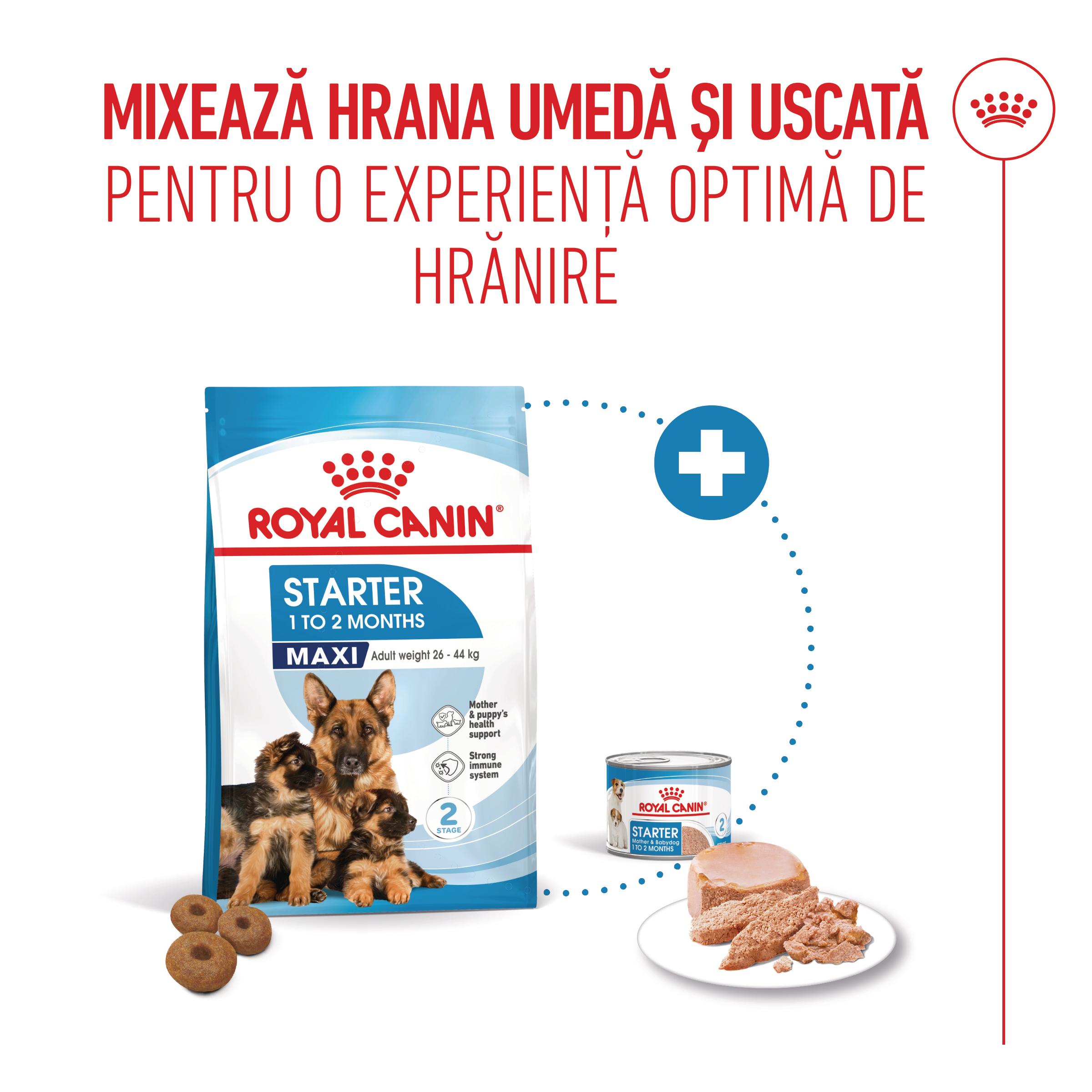ROYAL CANIN Maxi Starter Mother &amp; Babydog, mama și puiul, hrană uscată câini, 15kg