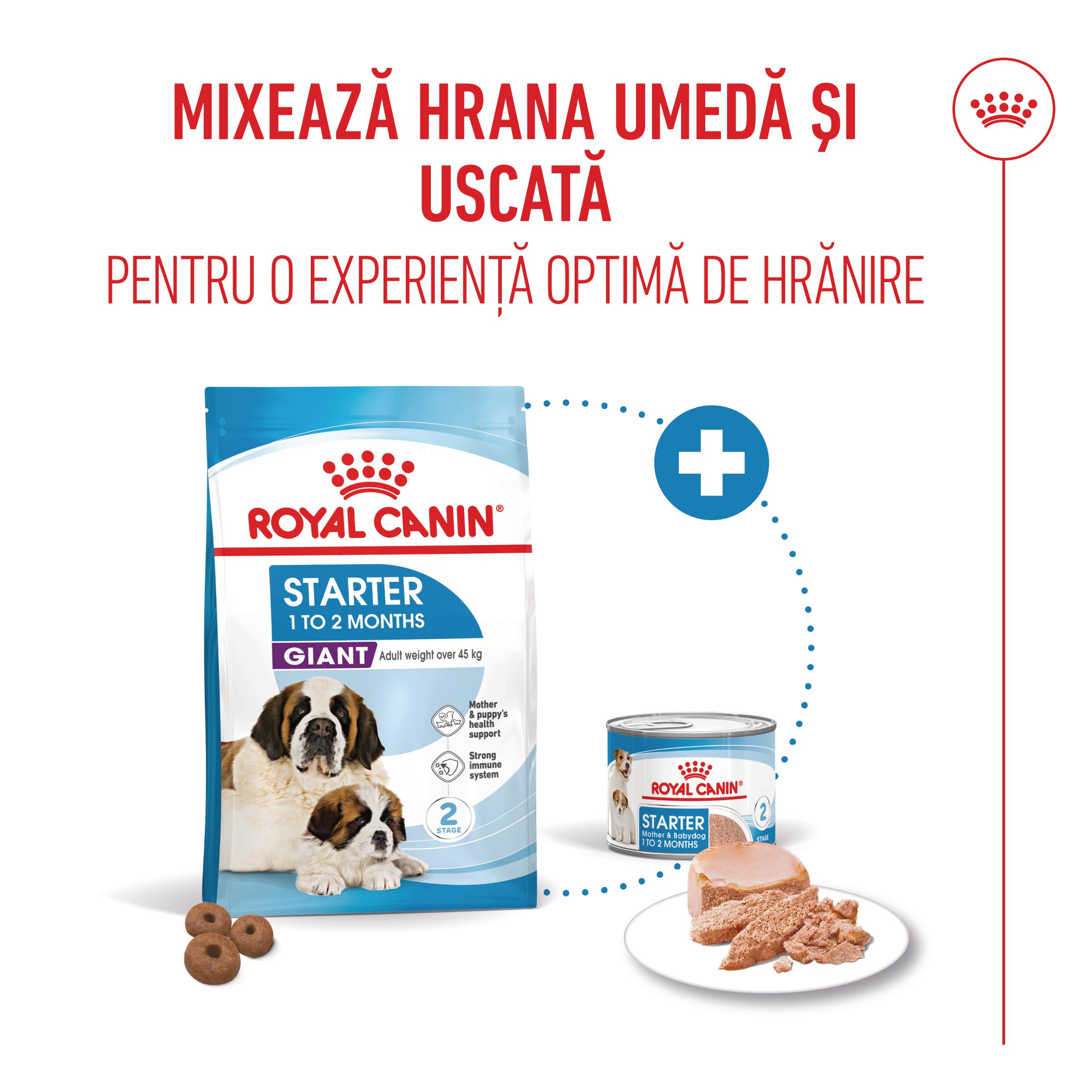 ROYAL CANIN Giant Starter Mother &amp; Babydog, mama și puiul, hrană uscată câini, 15kg