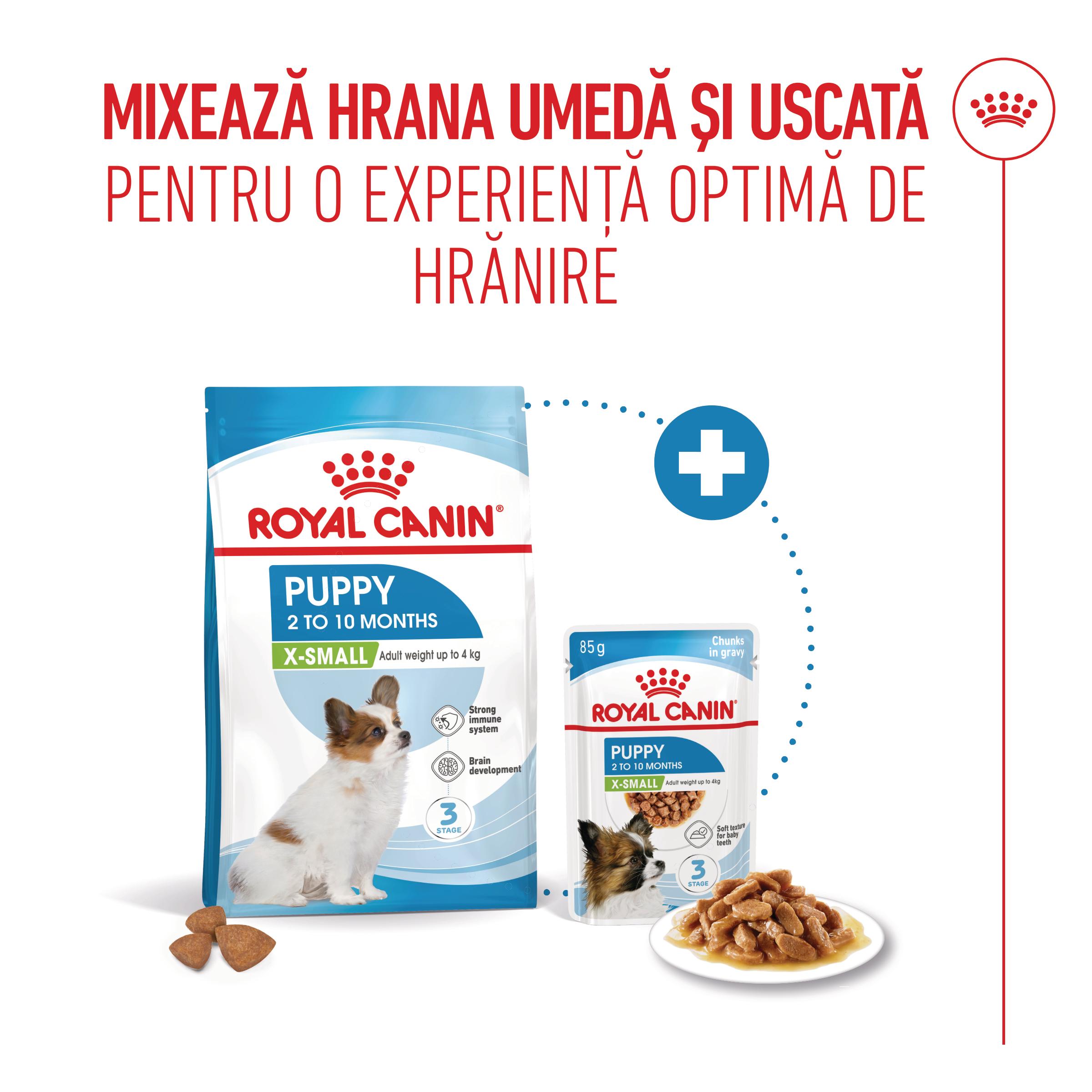 ROYAL CANIN X-Small Puppy, hrană uscată câini junior, 500g