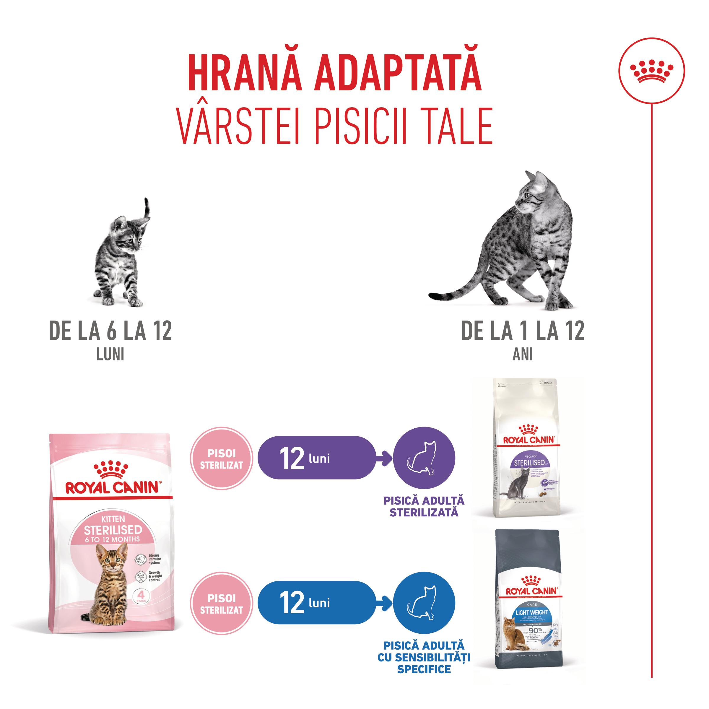 Reducere Royal Canin Kitten Sterilised, hrana uscata pisici…