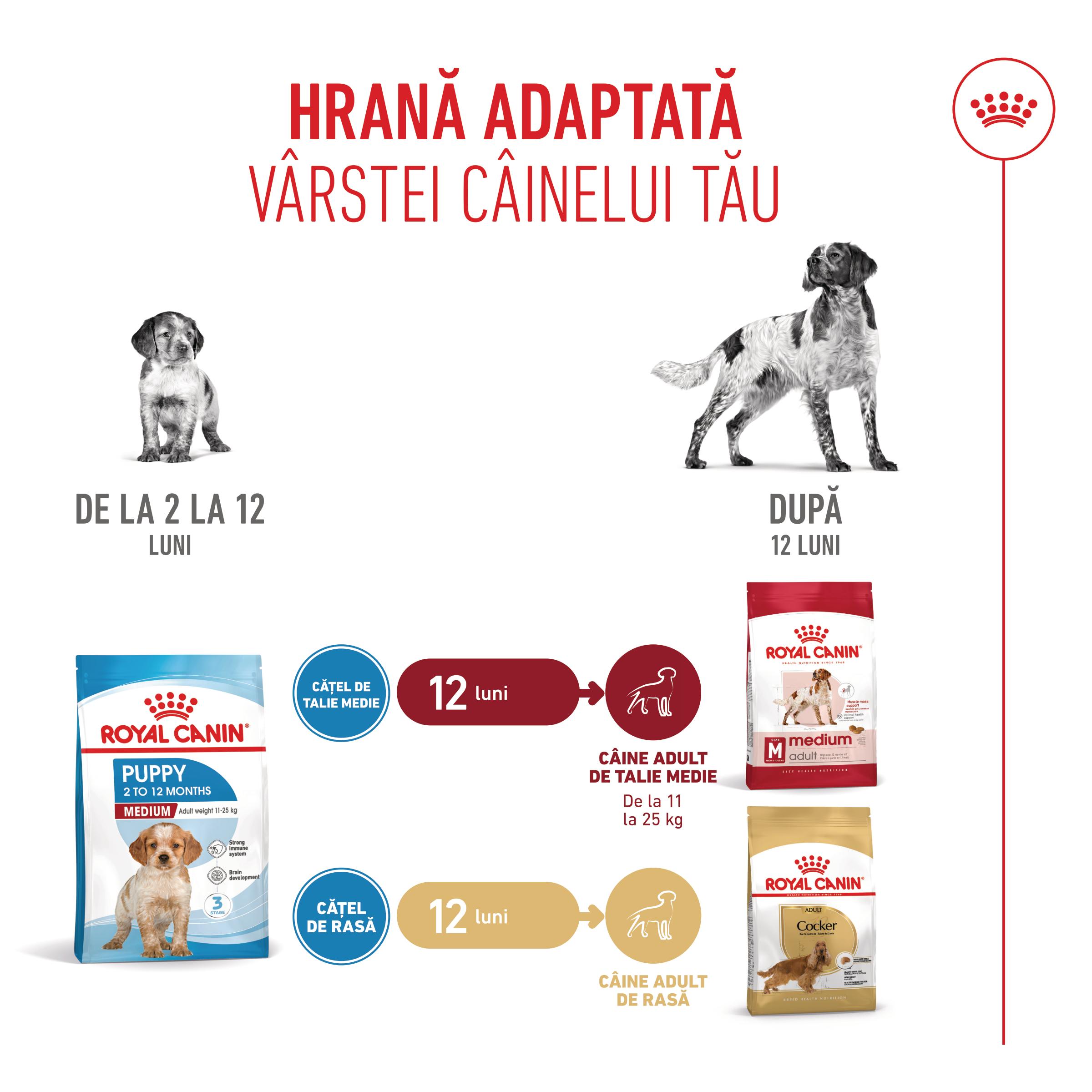 ROYAL CANIN Medium Puppy, hrană uscată câini junior, 1kg