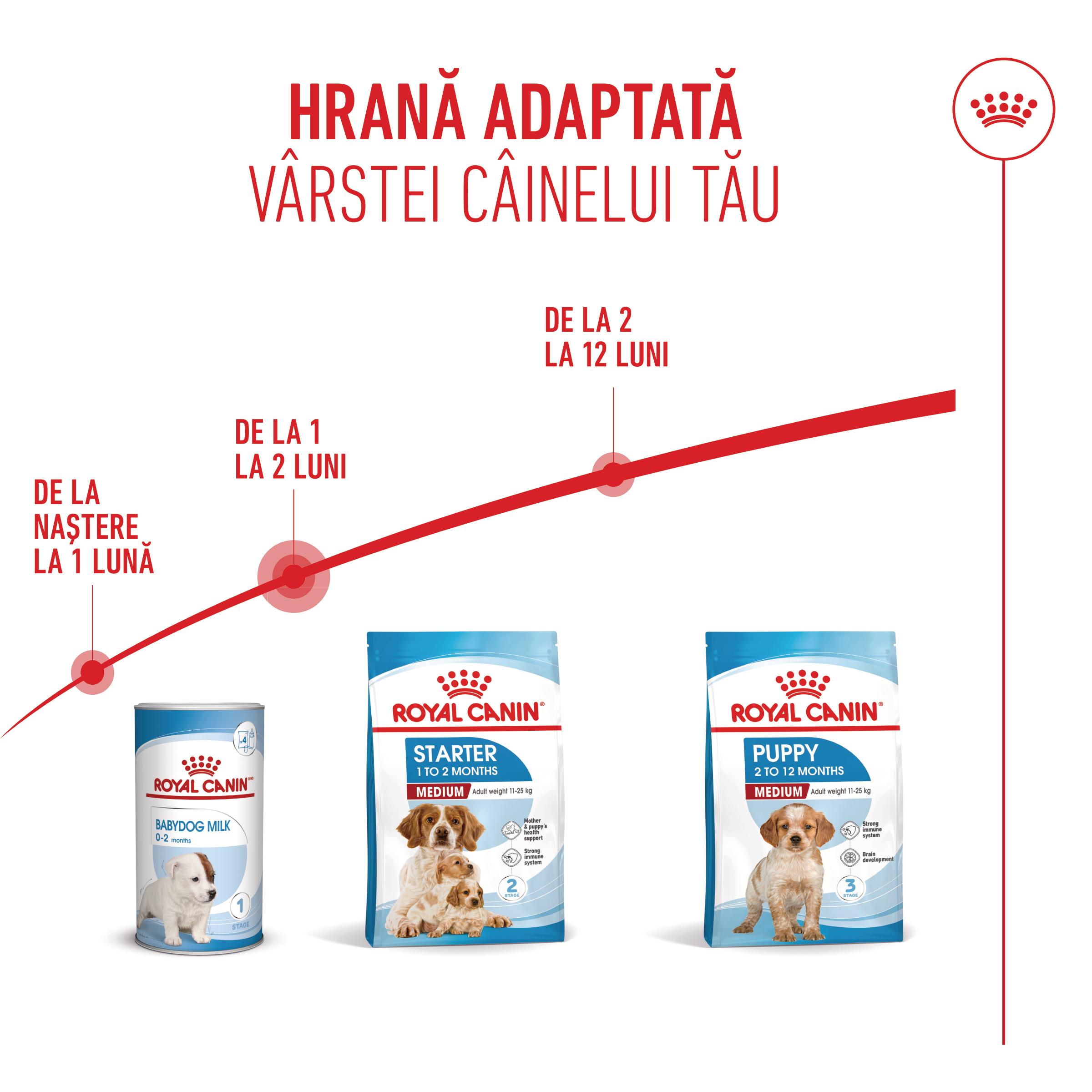 ROYAL CANIN Medium Starter Mother &amp; Babydog, mama și puiul, hrană uscată câini, 15kg