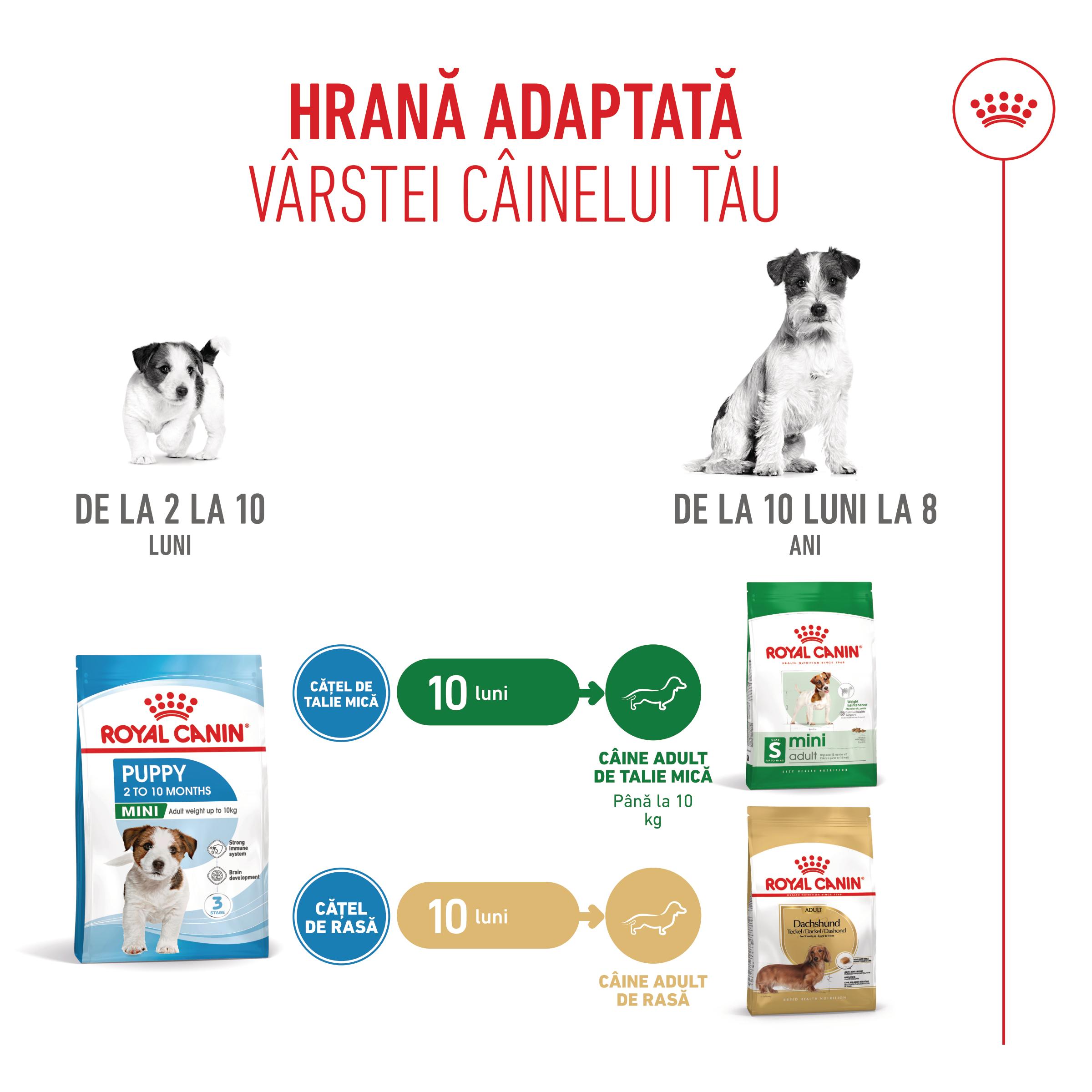 ROYAL CANIN Mini Puppy, hrană uscată câini junior, 2kg
