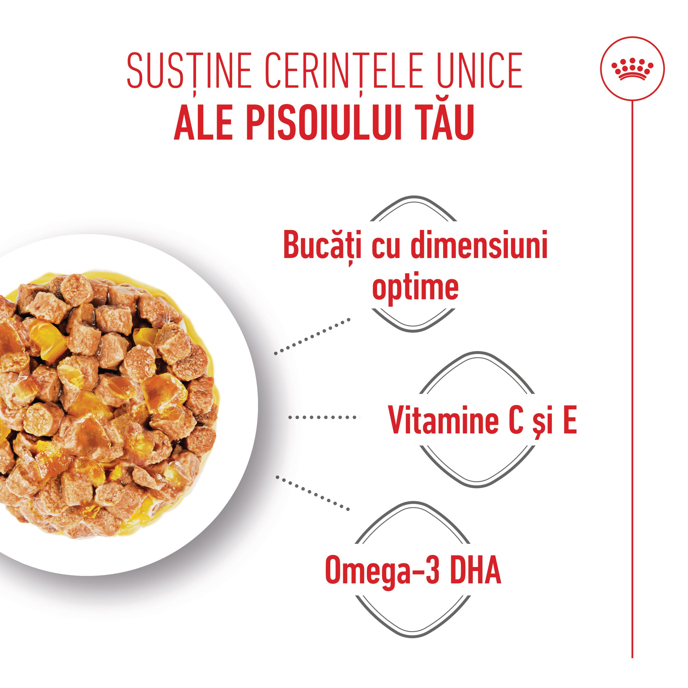 ROYAL CANIN Kitten, hrană umedă pisici, (în aspic), 85g