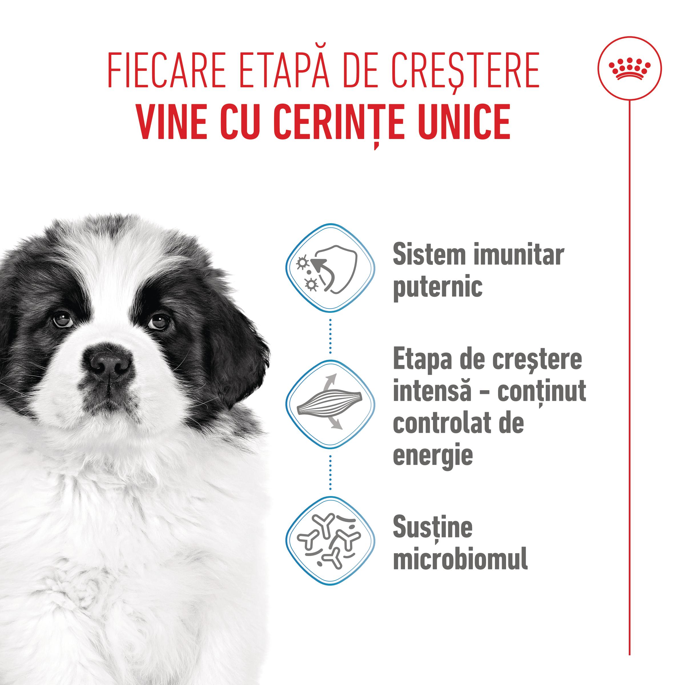 ROYAL CANIN Giant Puppy, hrană uscată câini junior, etapa 1 de creștere, 15kg - 3 | YEO