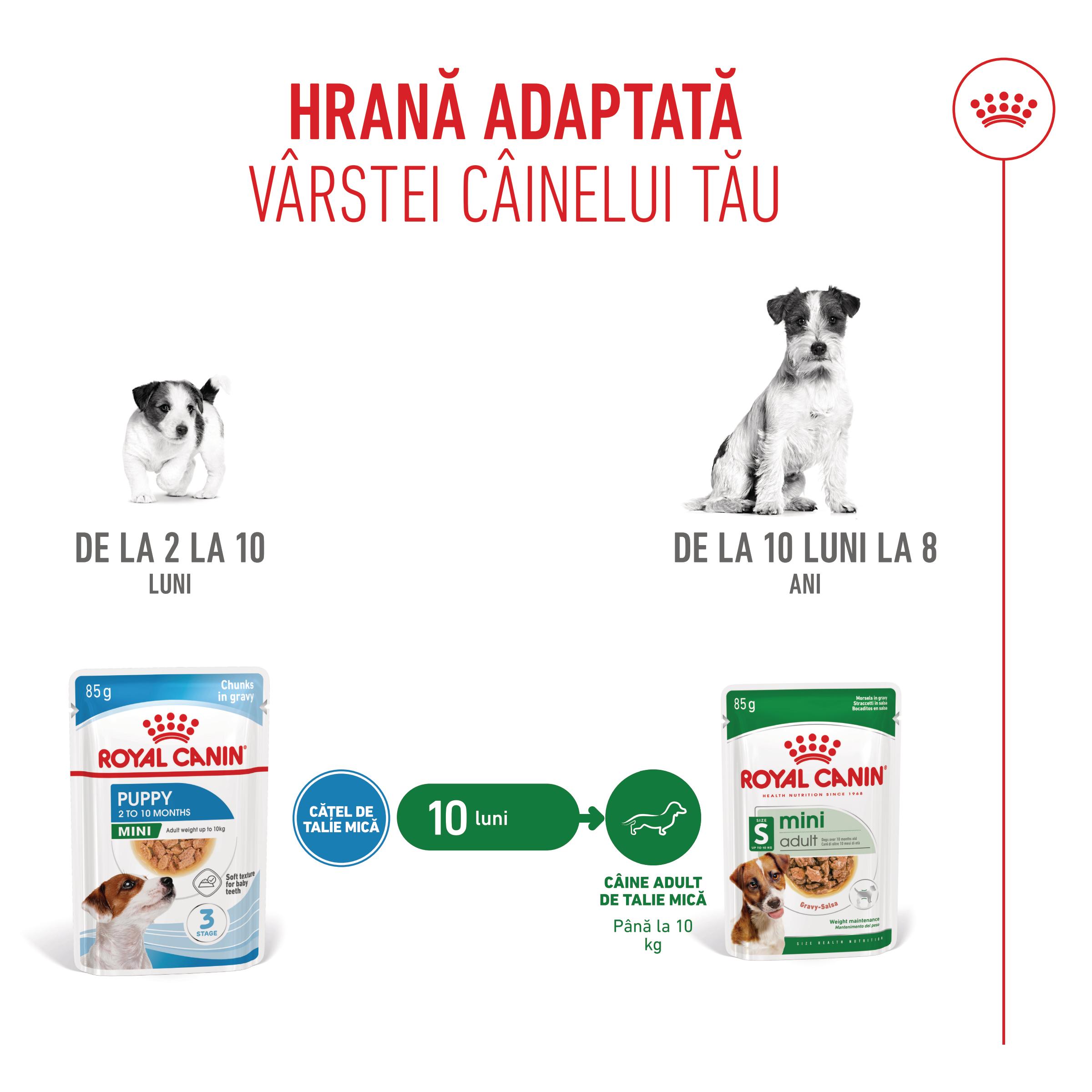ROYAL CANIN Mini Puppy, hrană umedă câini junior, (în sos), bax, 85g x 12buc
