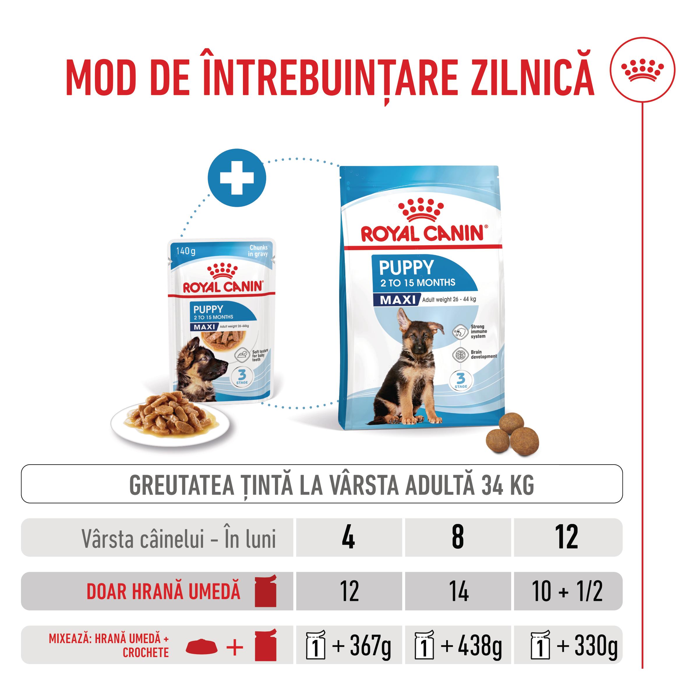 ROYAL CANIN Maxi Puppy, hrană umedă câini junior, (în sos), 140g