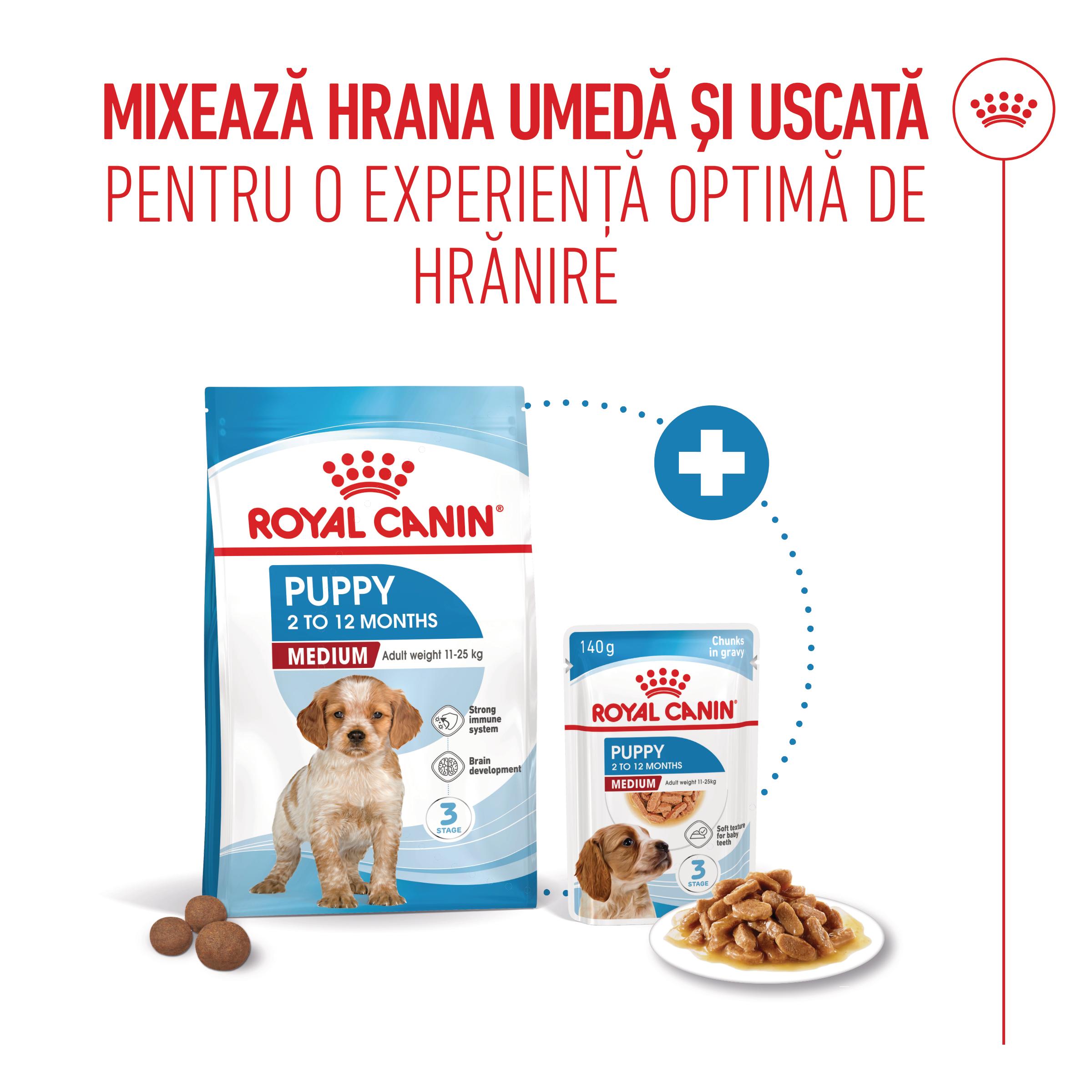 ROYAL CANIN Medium Puppy, hrană umedă câini junior, (în sos), bax, 140g x 10buc