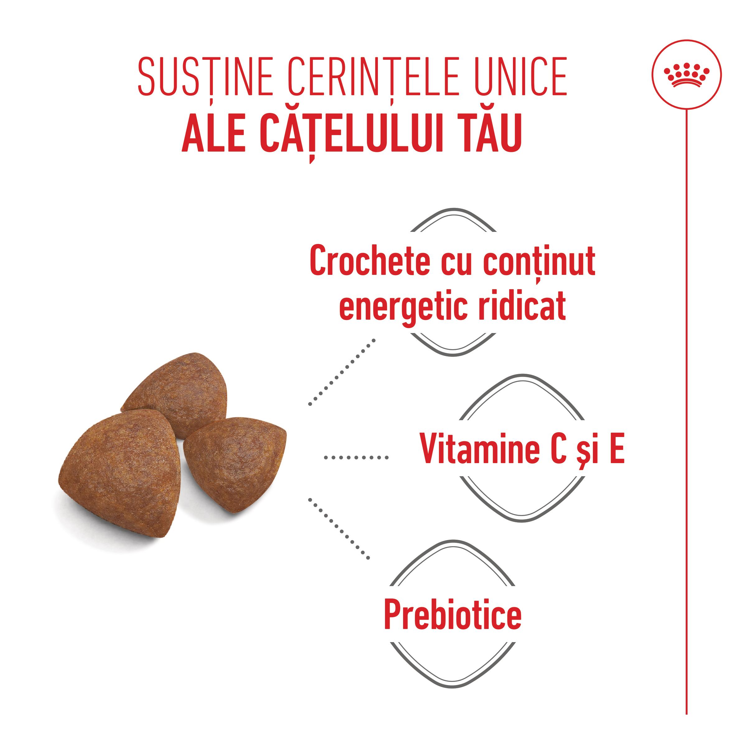 ROYAL CANIN Medium Starter Mother &amp; Babydog, mama și puiul, hrană uscată câini, 4kg