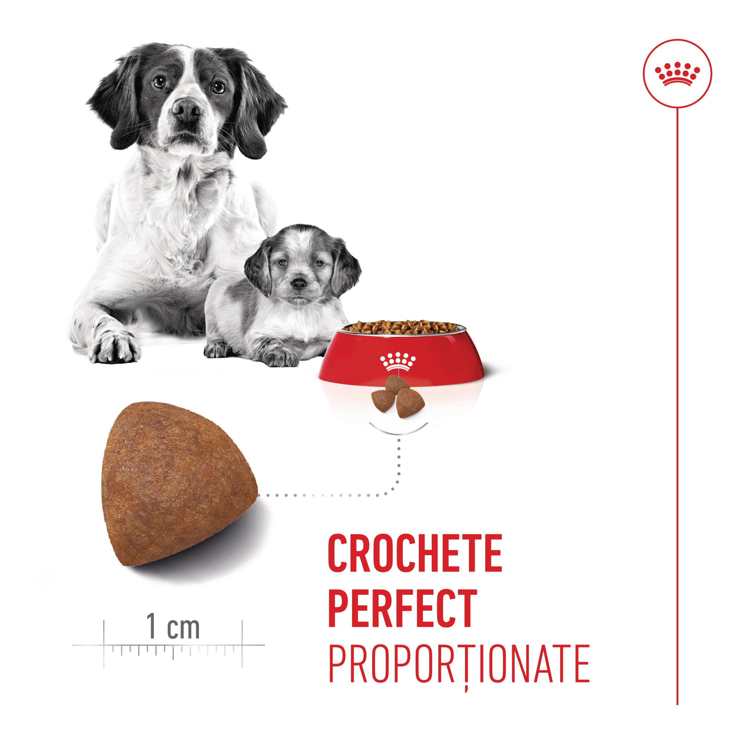 ROYAL CANIN Medium Starter Mother &amp; Babydog, mama și puiul, hrană uscată câini, 4kg