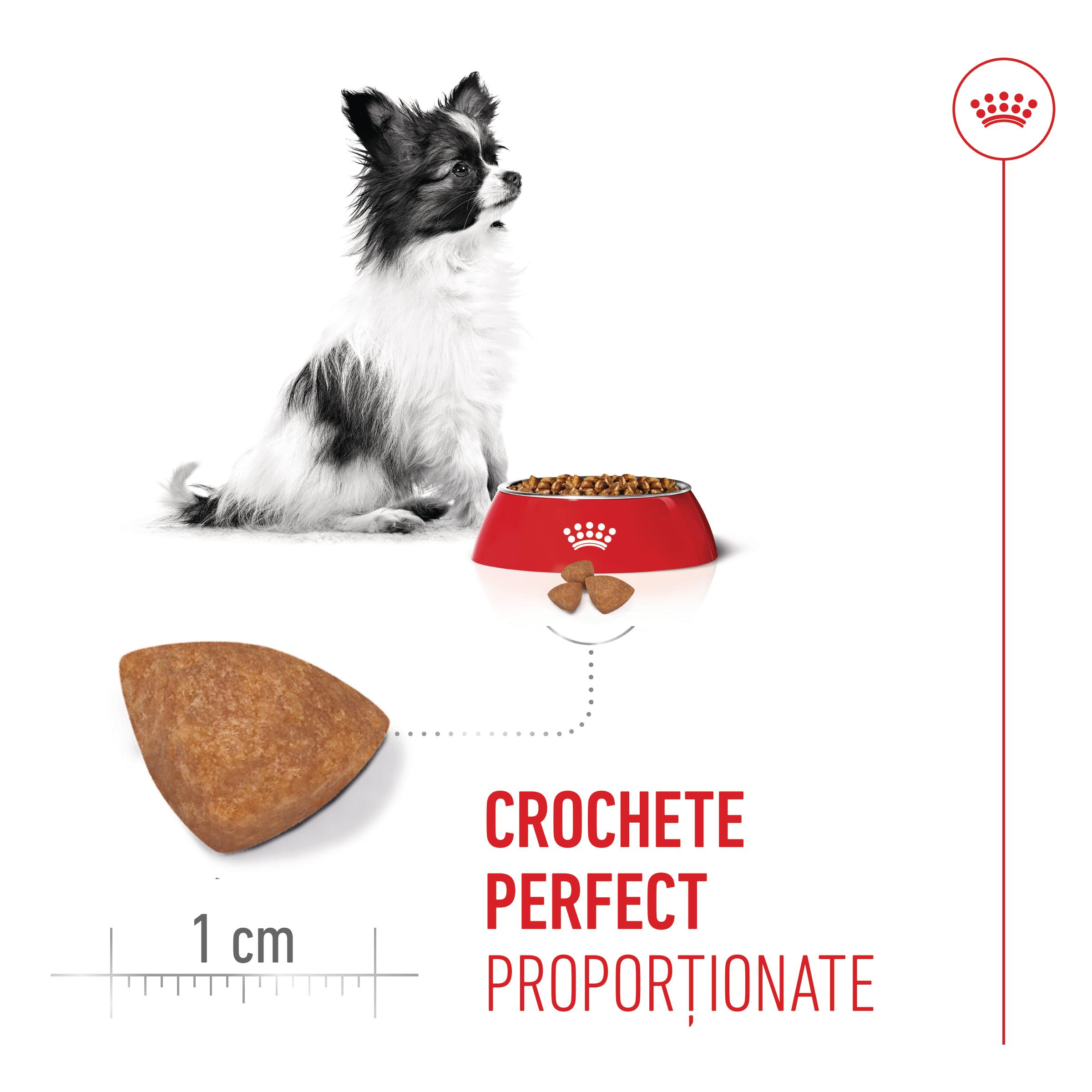 ROYAL CANIN X-Small Puppy, hrană uscată câini junior, 1.5kg