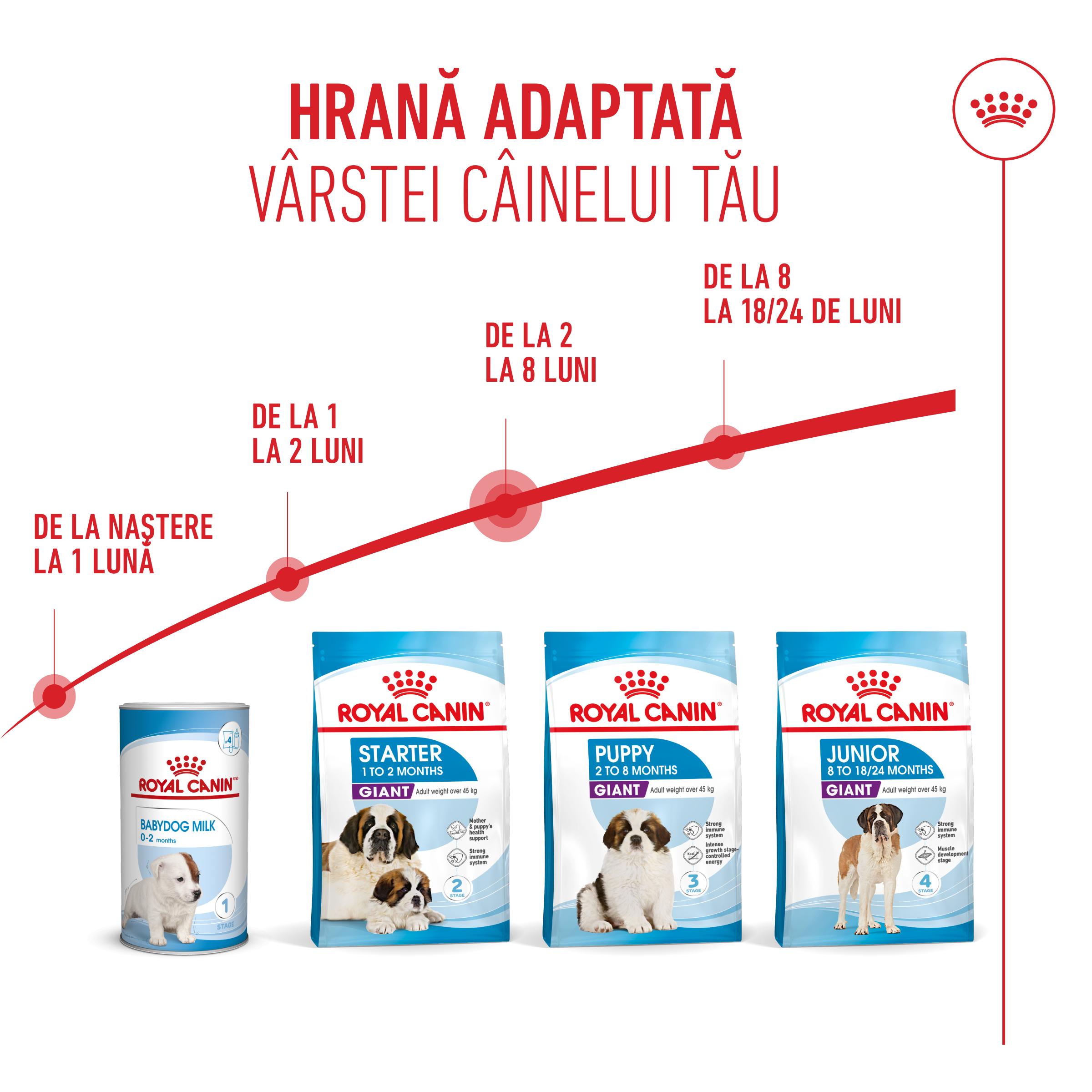 ROYAL CANIN Giant Puppy, hrană uscată câini junior, etapa 1 de creștere, 15kg