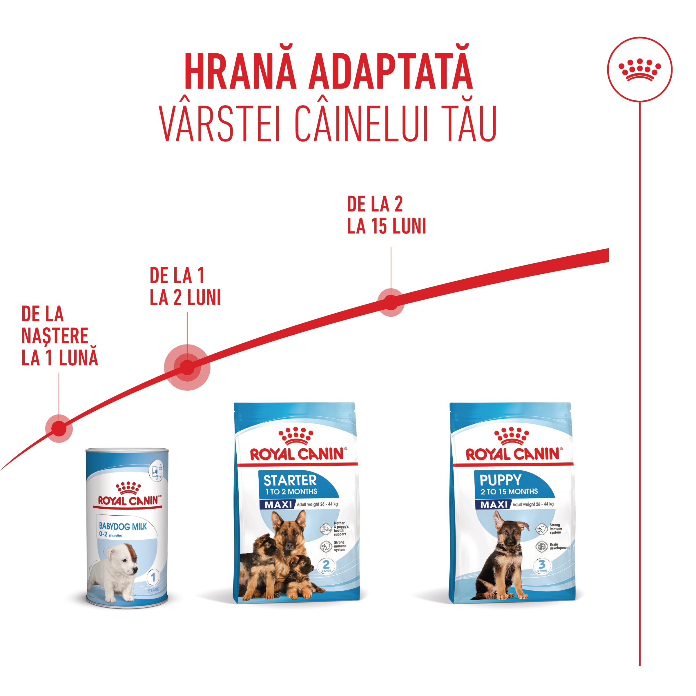 ROYAL CANIN Maxi Starter Mother &amp; Babydog, mama și puiul, hrană uscată câini, 4kg