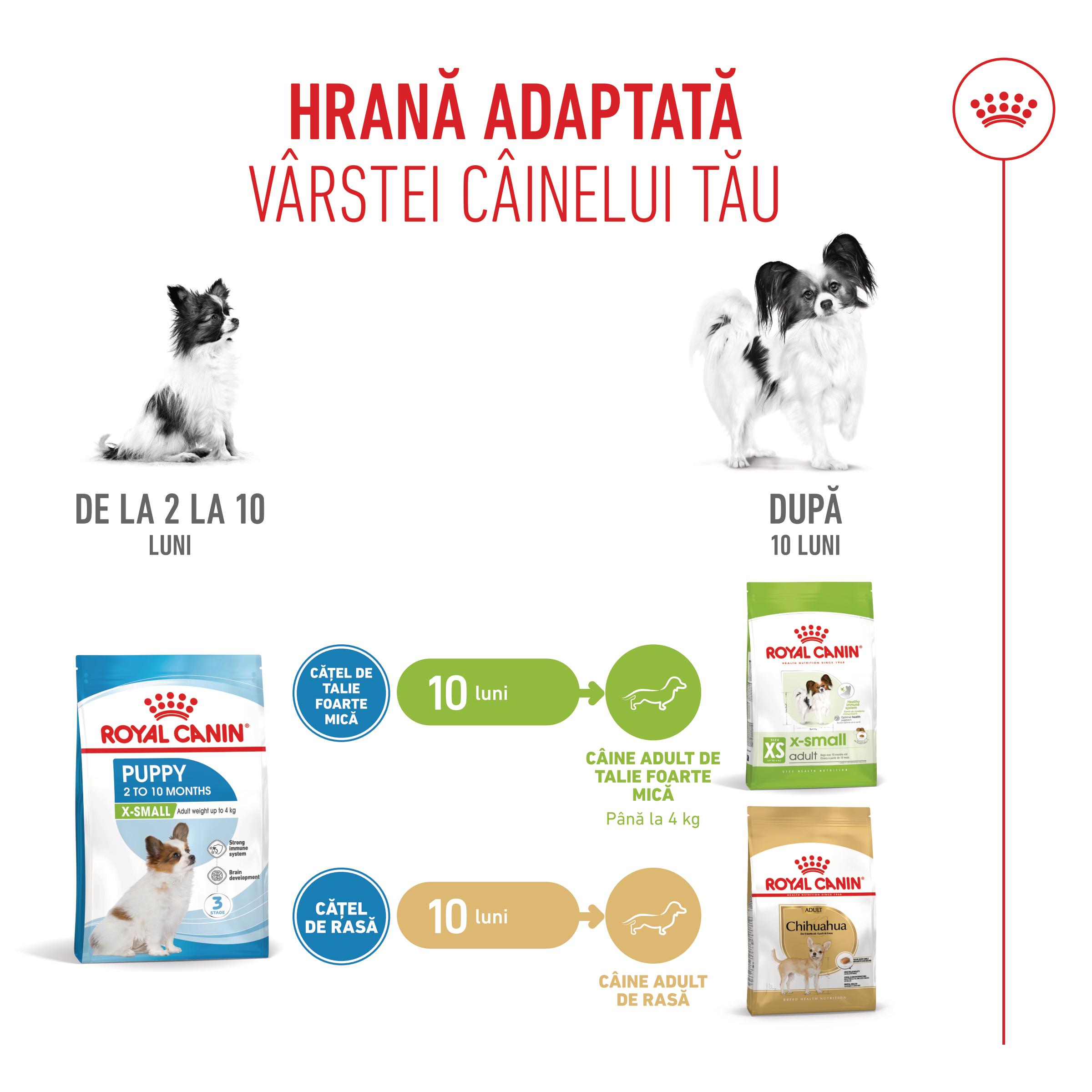 ROYAL CANIN X-Small Puppy, hrană uscată câini junior, 1.5kg