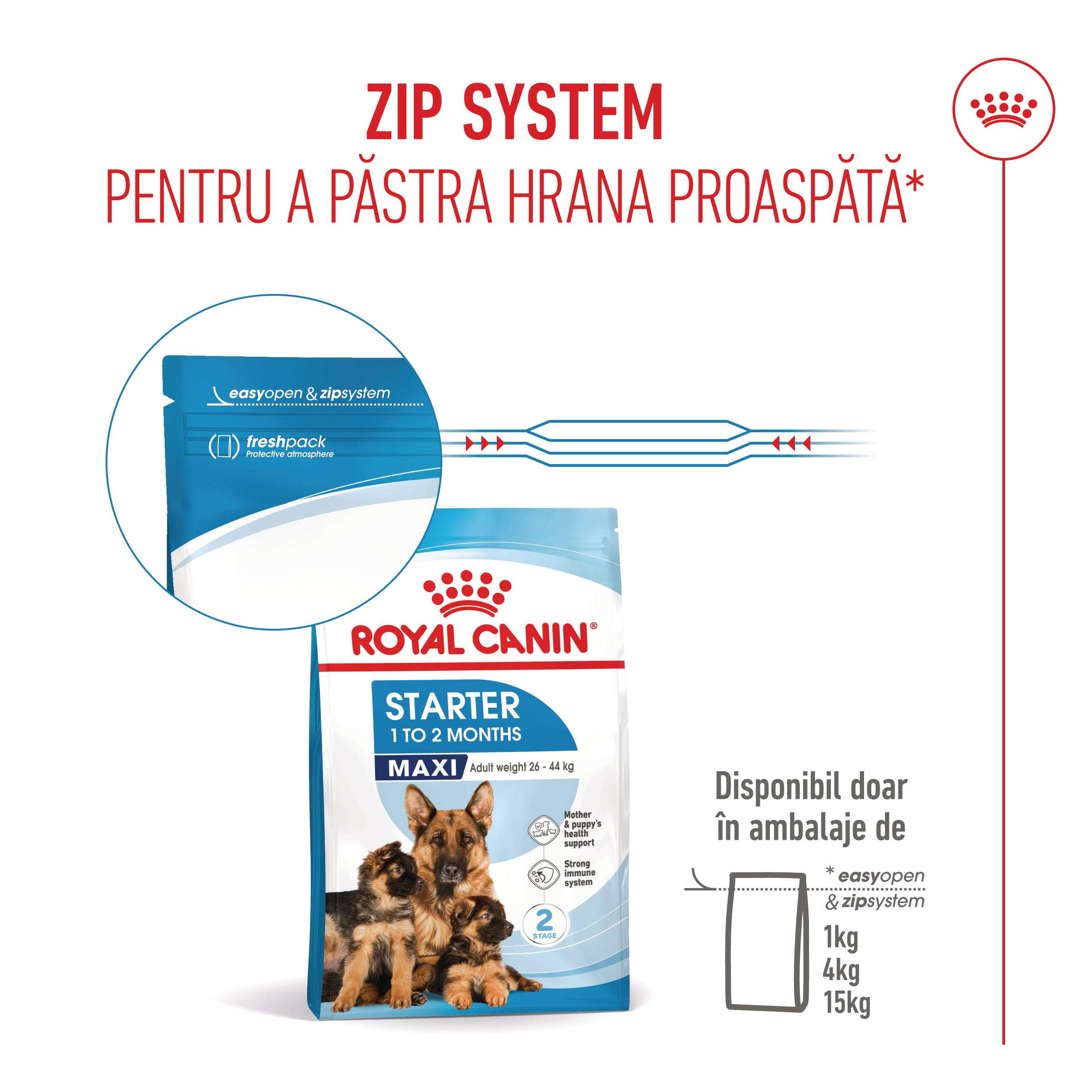 ROYAL CANIN Maxi Starter Mother & Babydog, mama și puiul, hrană uscată câini, 4kg