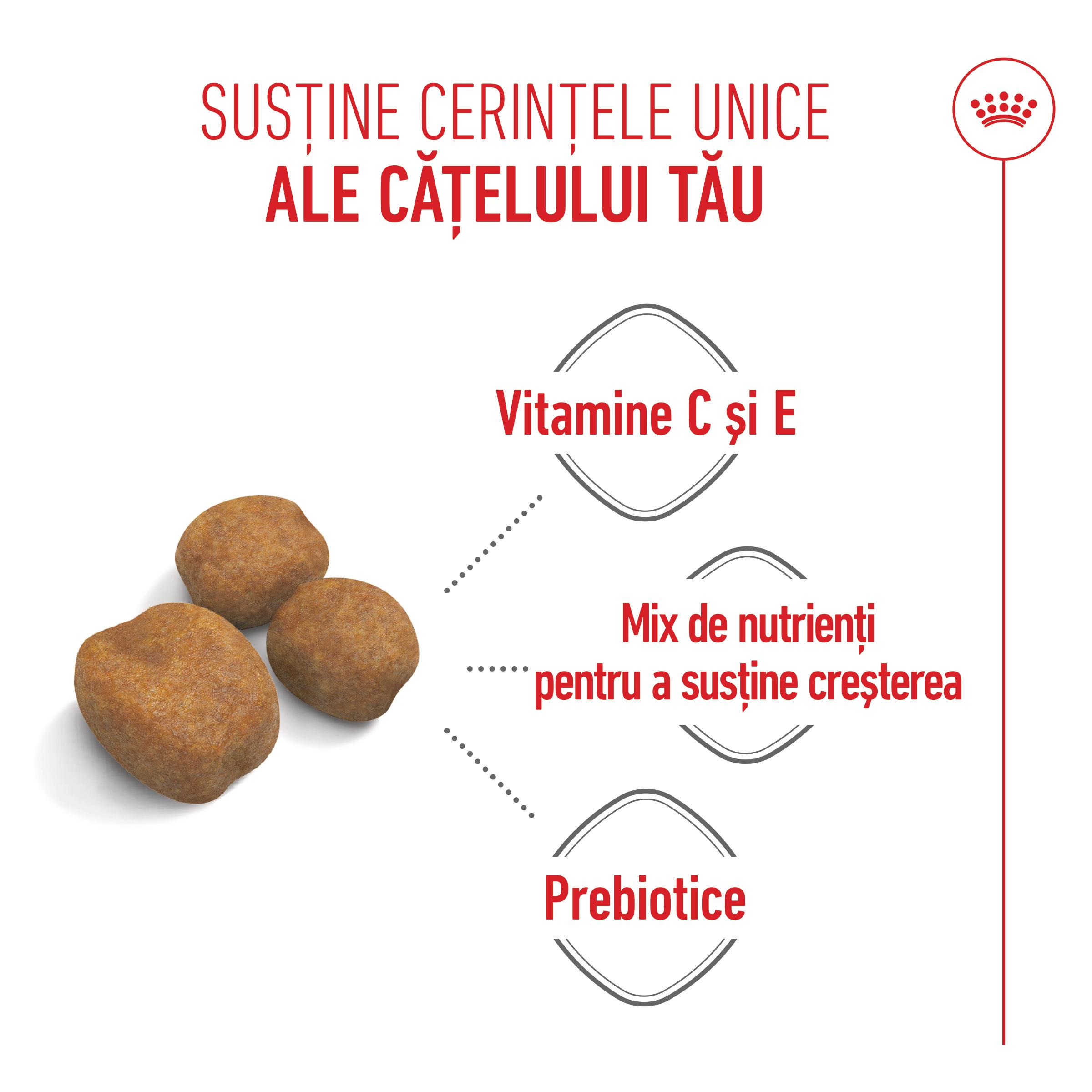 ROYAL CANIN Giant Puppy, hrană uscată câini junior, etapa 1 de creștere, 3.5kg