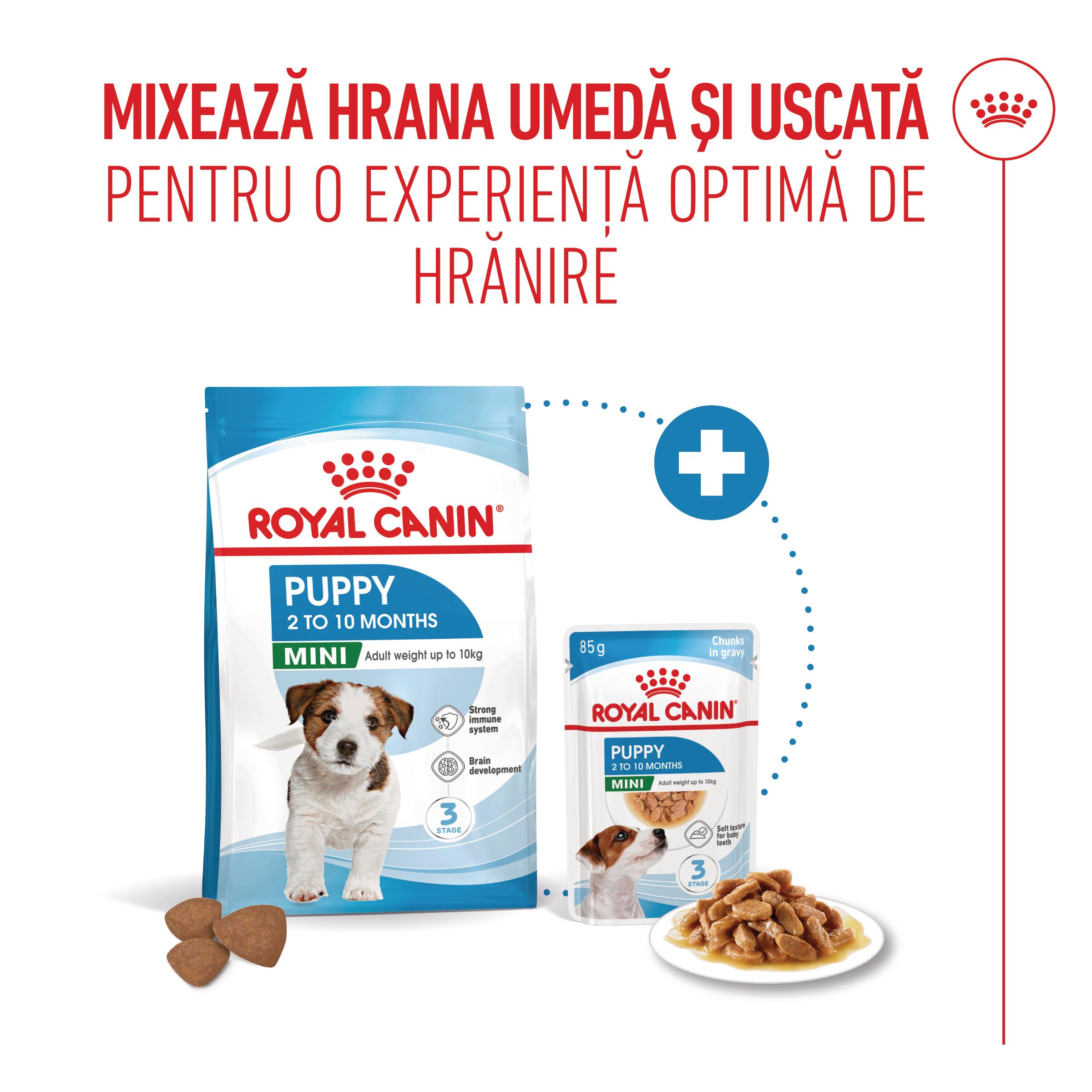ROYAL CANIN Mini Puppy, hrană uscată câini junior, 4kg