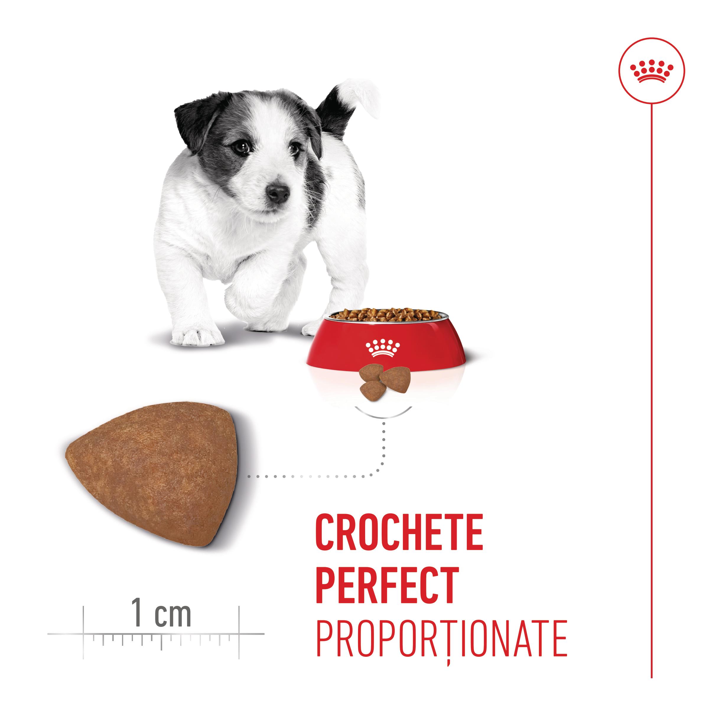 ROYAL CANIN Mini Puppy, hrană uscată câini junior, 8kg