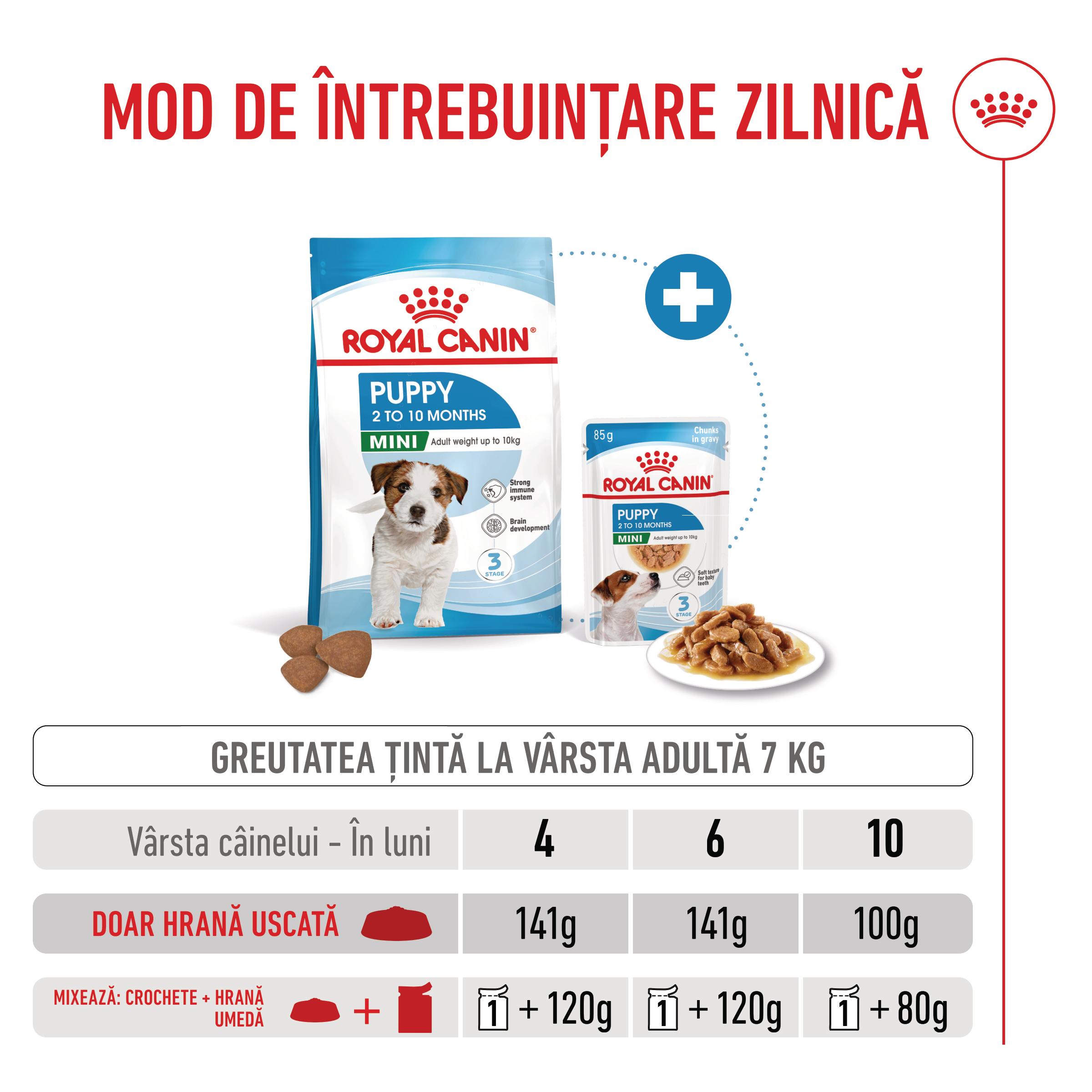 ROYAL CANIN Mini Puppy, hrană uscată câini junior, 8kg