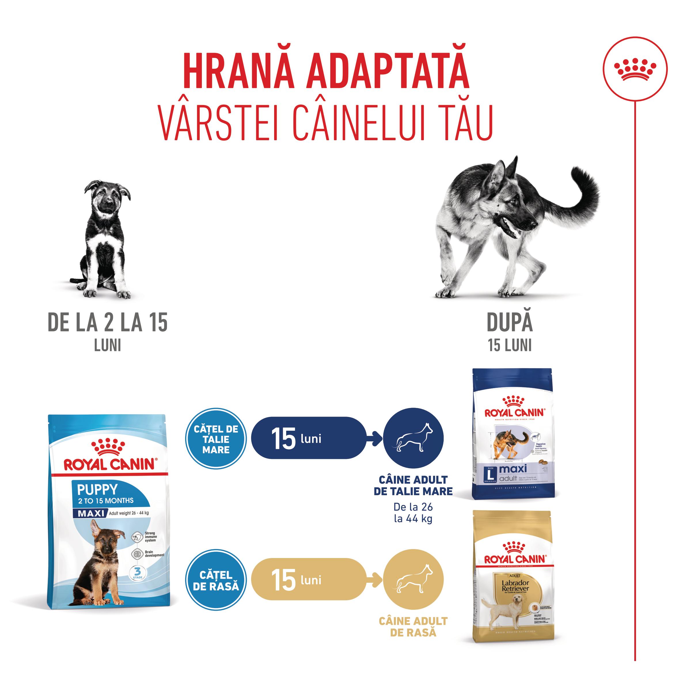 ROYAL CANIN Maxi Puppy, hrană uscată câini junior, 3kg