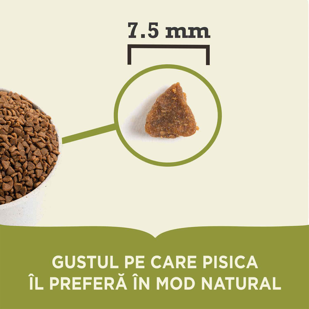 ACANA First Feast, Junior, hrană uscată pisici junior, 1.8kg