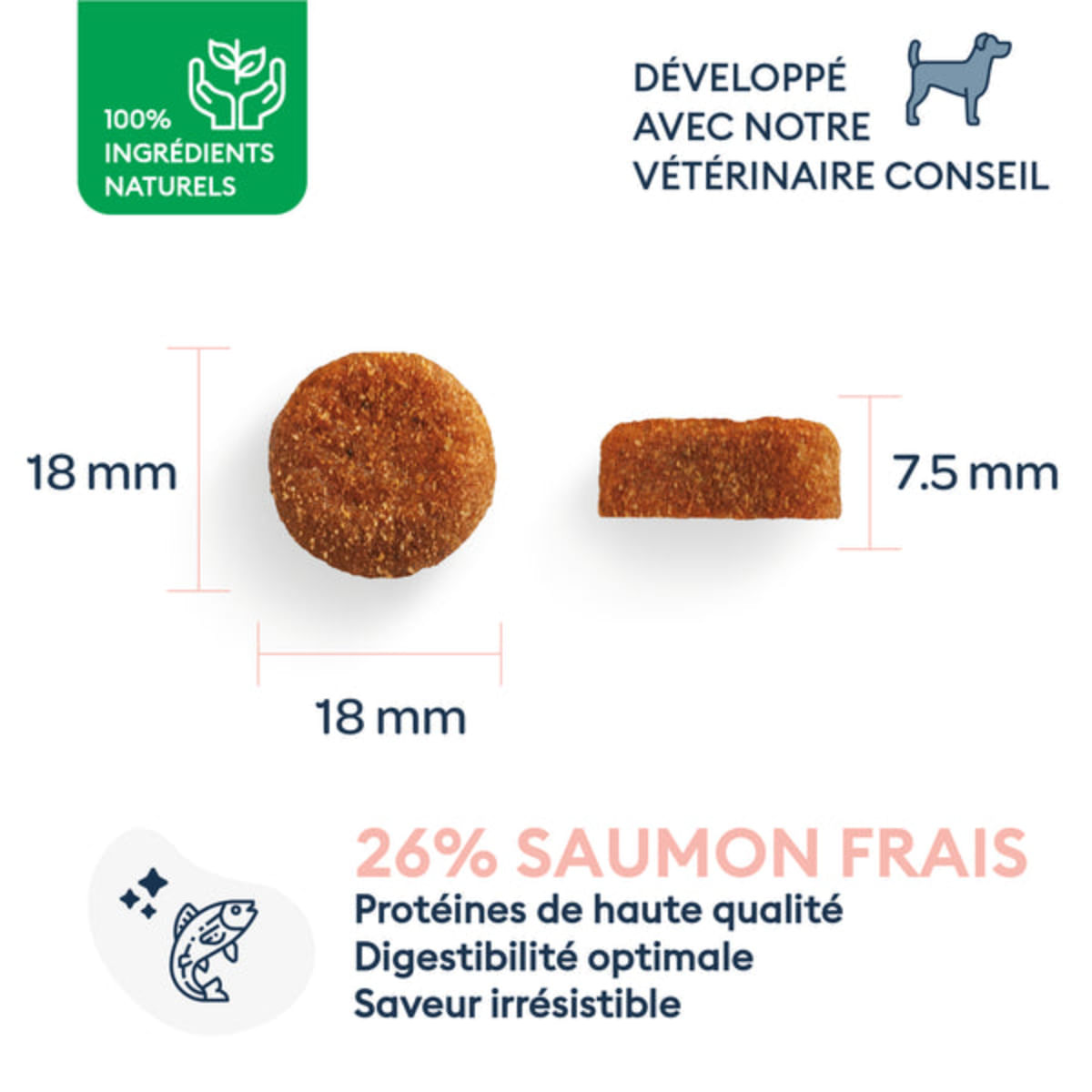 MARLY&DAN Adult Large Breed, L-XL, Somon, hrană uscată fără cereale câini, 12kg - 2 | YEO