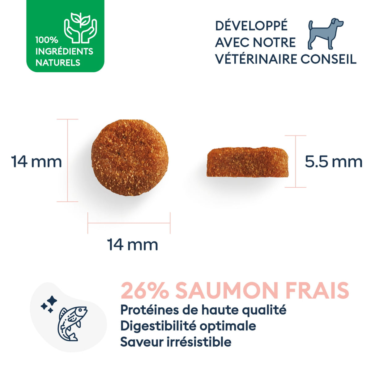 MARLY&DAN Adult Medium Breed, M, Somon, hrană uscată fără cereale câini, 12kg - 2 | YEO