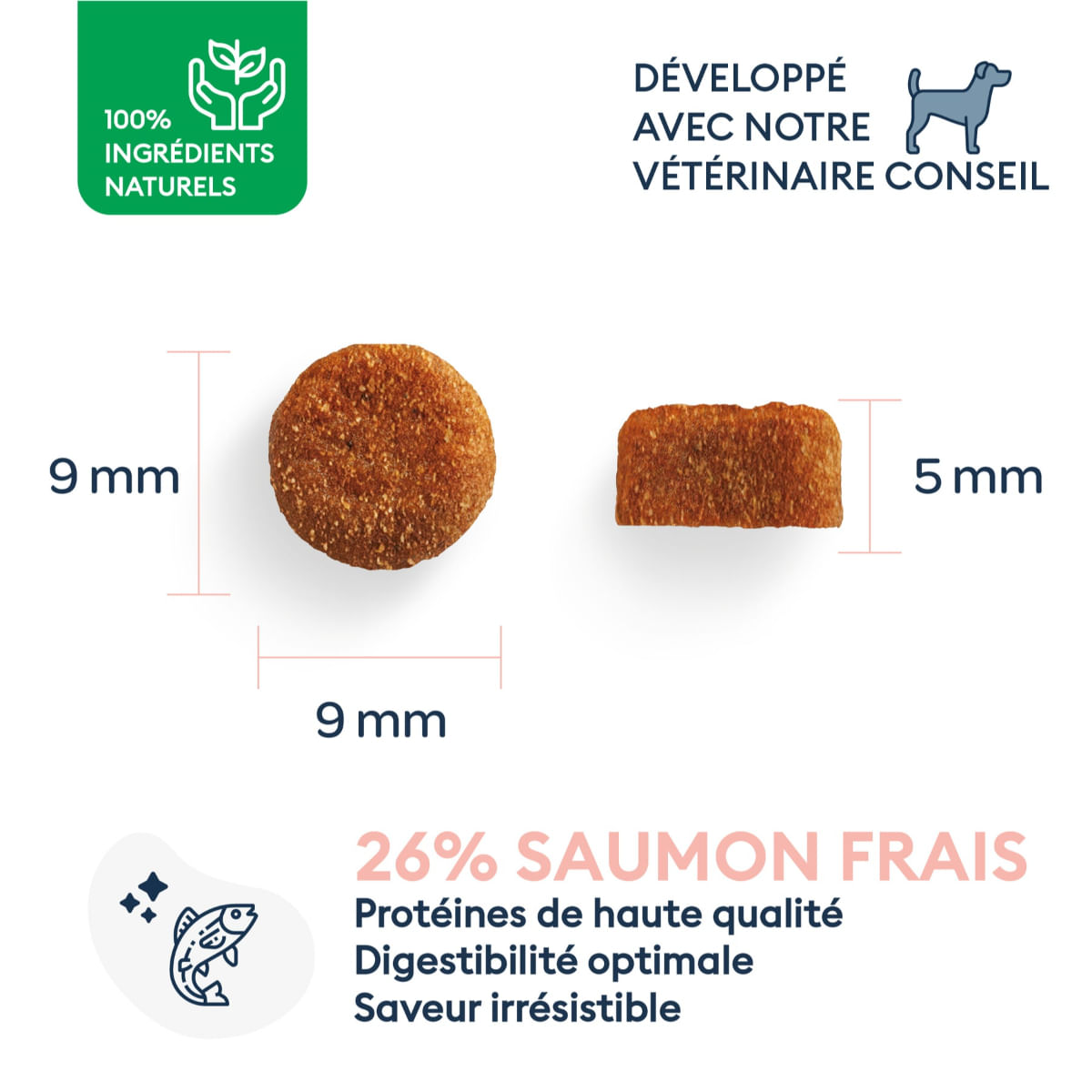 MARLY&DAN Puppy&Junior Medium&Large Breed, M-XL, Somon, hrană uscată fără cereale câini junior, 12kg - 2 | YEO